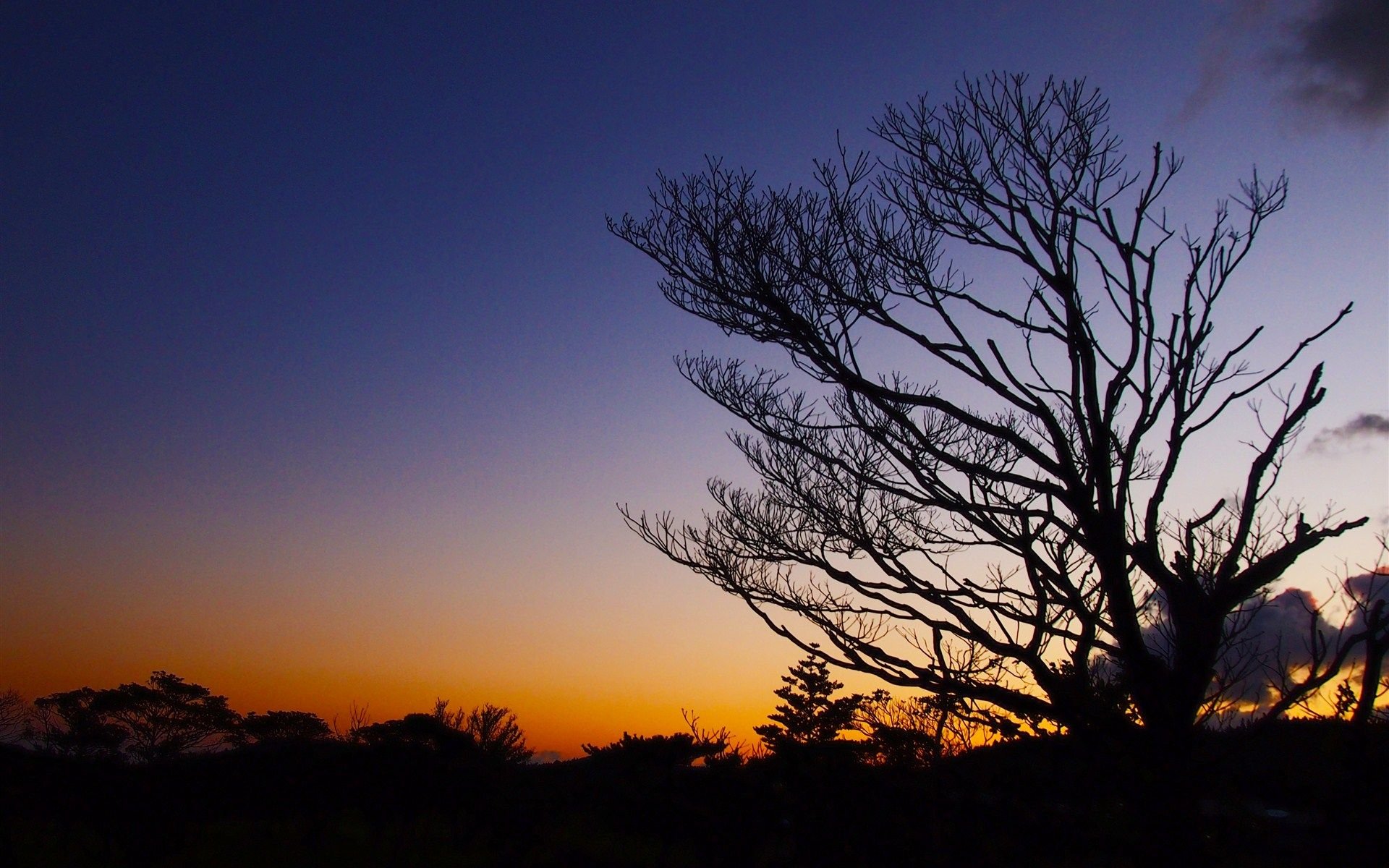 风景,美景,景色,韩国风光,韩国,儿童桌面专用