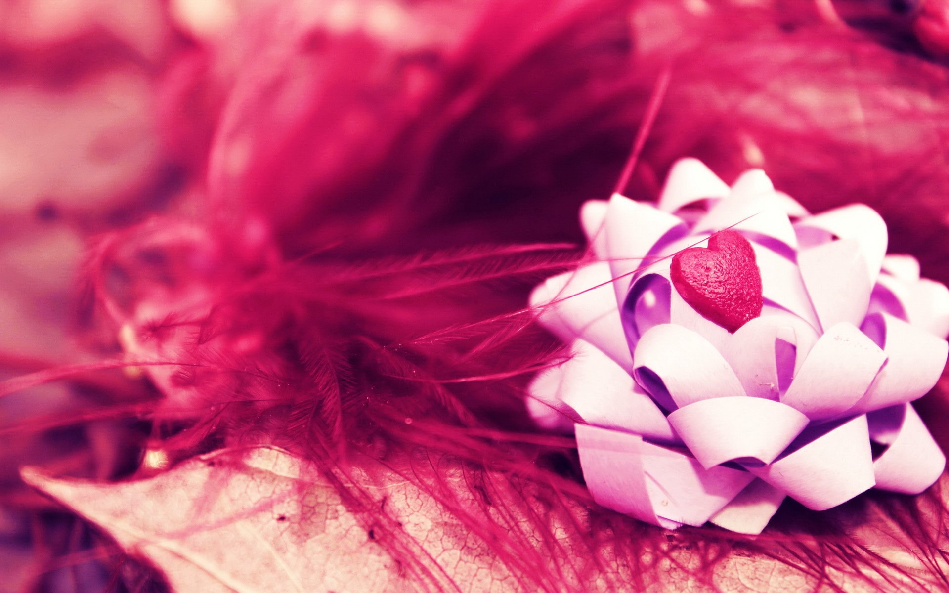 小清新,温馨一刻,浪漫,2月22日,儿童桌面专用