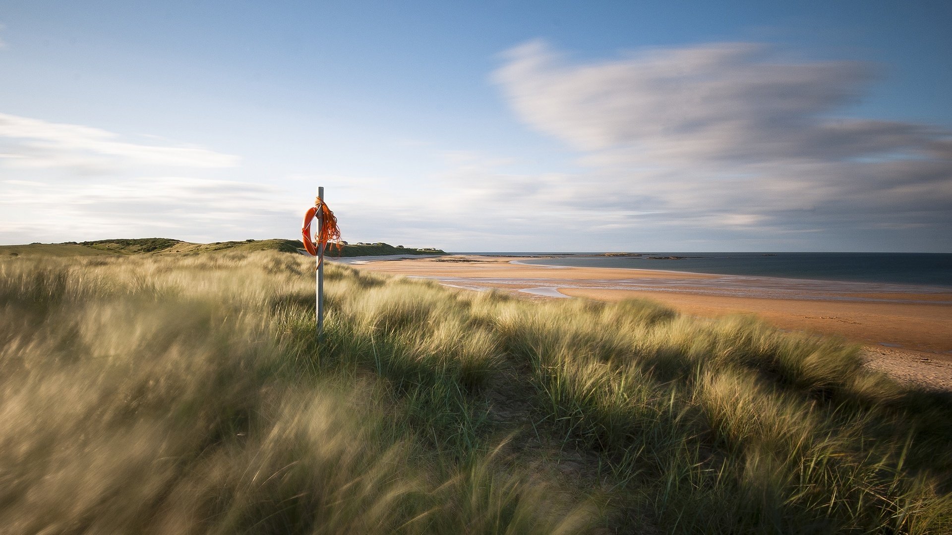 小清新,舒缓压力,草原,2月22日,儿童桌面专用
