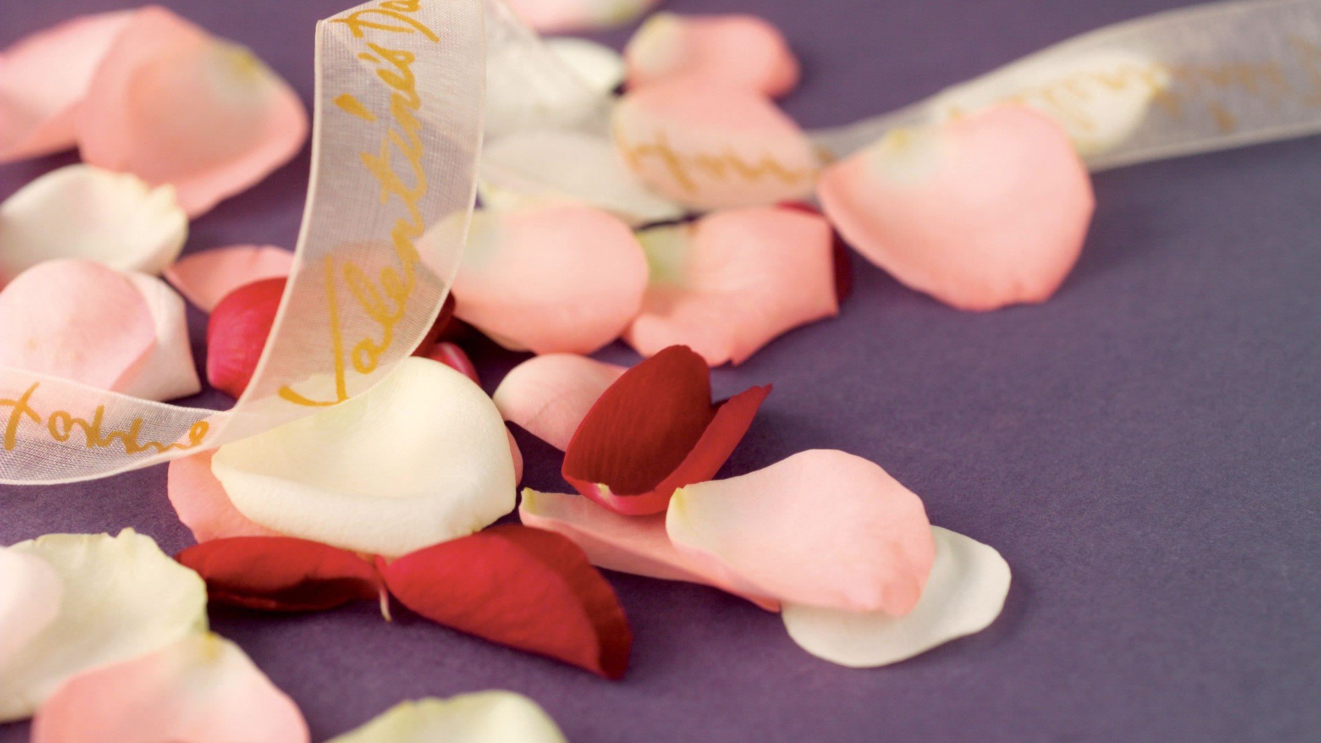 爱情美图,唯美温馨,玫瑰,浪漫