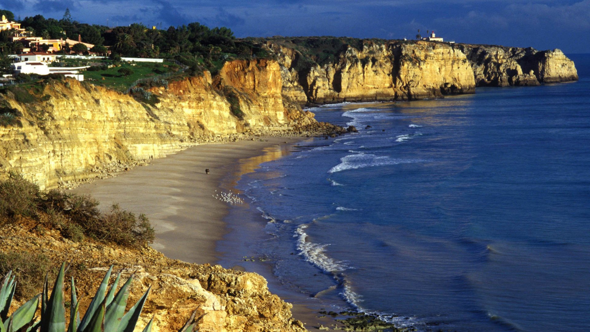 秀丽景色,风景,风光,美景,旅游,自然,儿童桌面专用