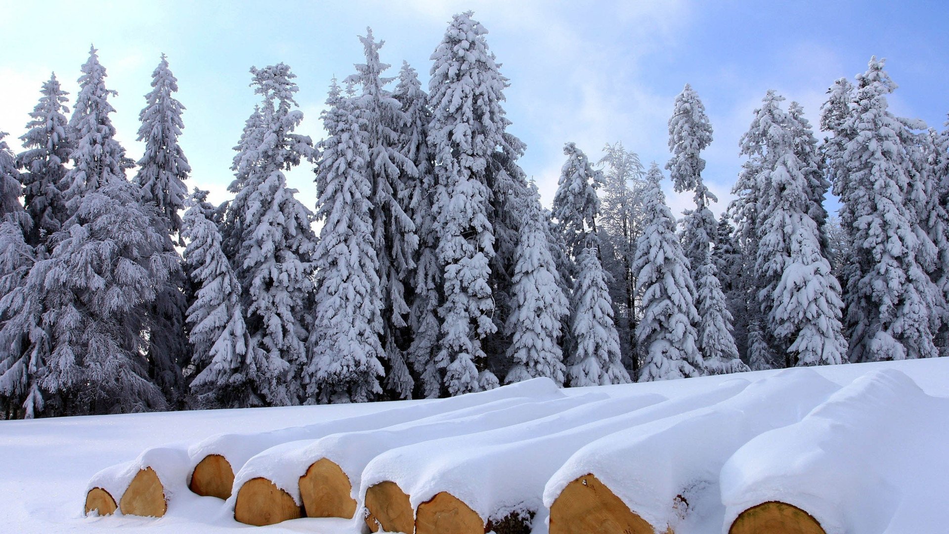 清新美景,风景,风光,美景,旅游,自然,儿童桌面专用
