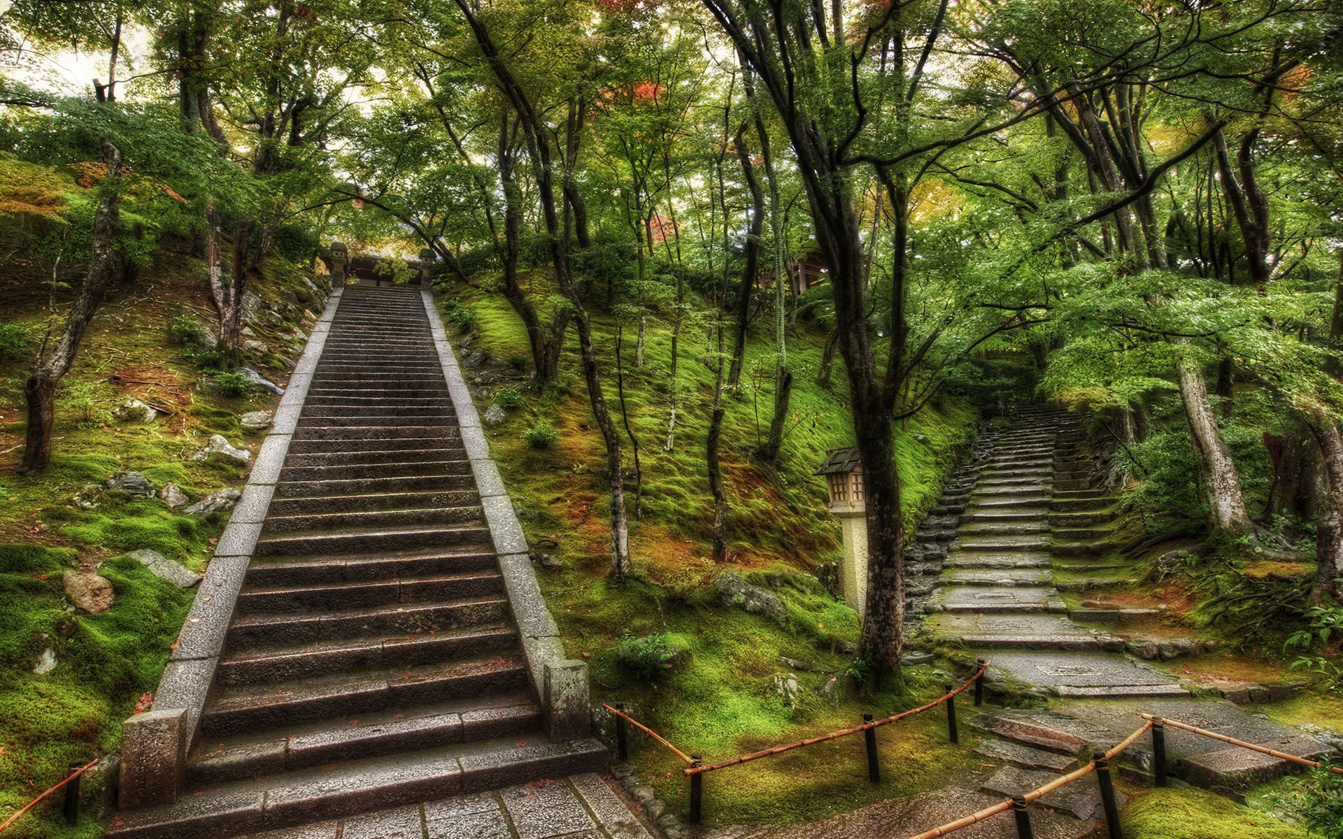 风景,风光,美景,梯子,石梯,儿童桌面专用