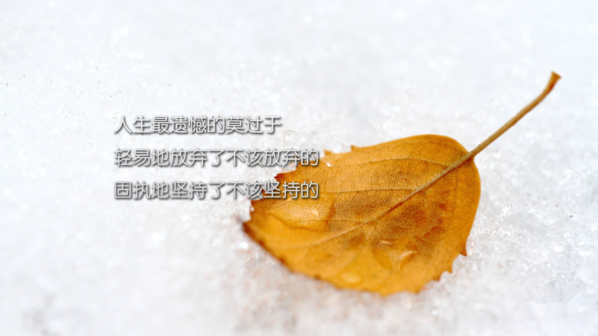 小清新,温馨一刻,励志,2月4日,儿童桌面专用