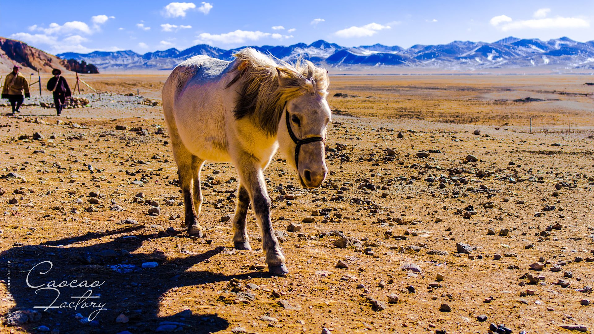 风景,旅游胜地,西藏摄影,caocaofactory,末日藏行记,儿童桌面专用