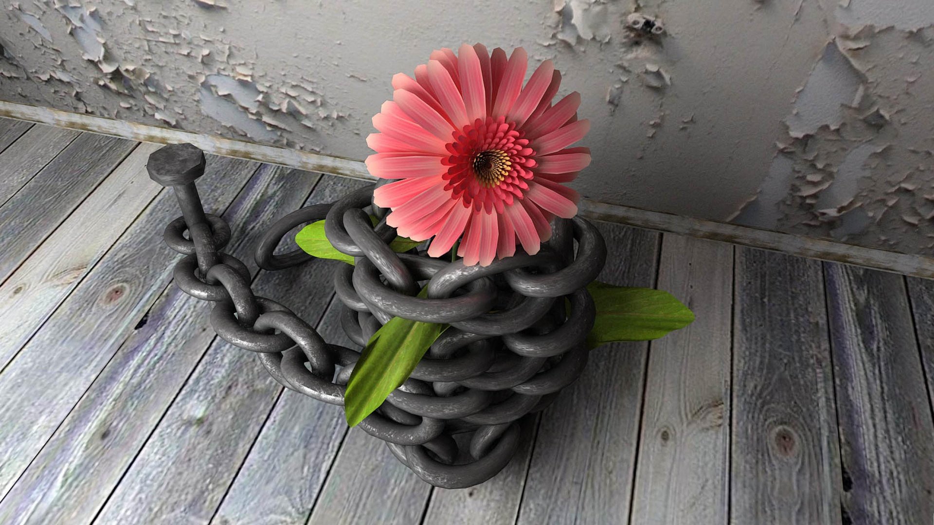 小清新,静物写真,花卉,2月4日,儿童桌面专用