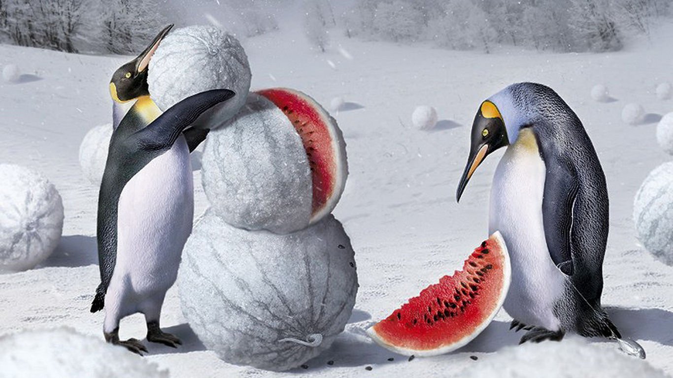 萌宠,极地物种,企鹅,儿童桌面专用