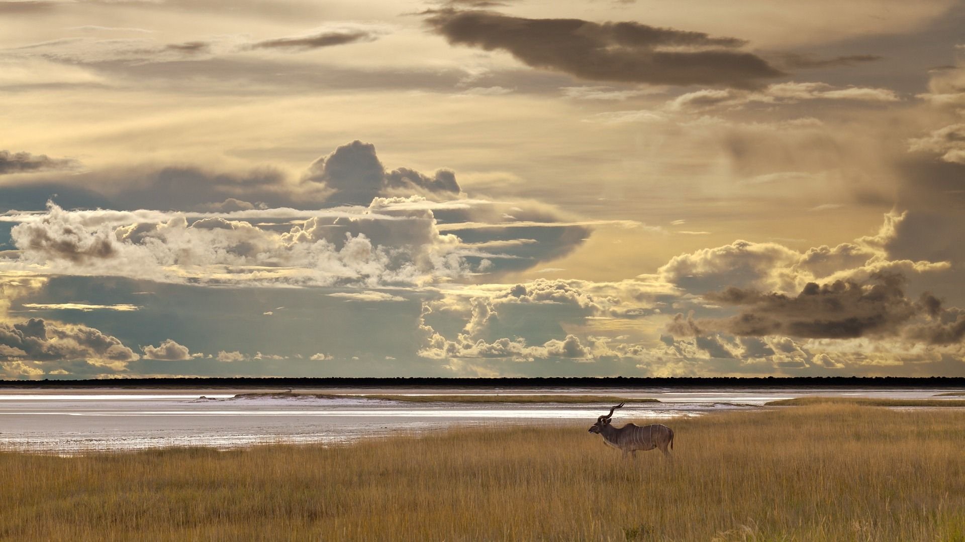 大海,海岸,风景,风光,美景,旅游,自然,儿童桌面专用