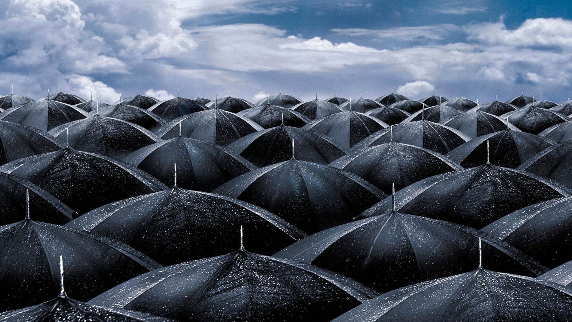 小清新,静物写真,雨伞,2月25日