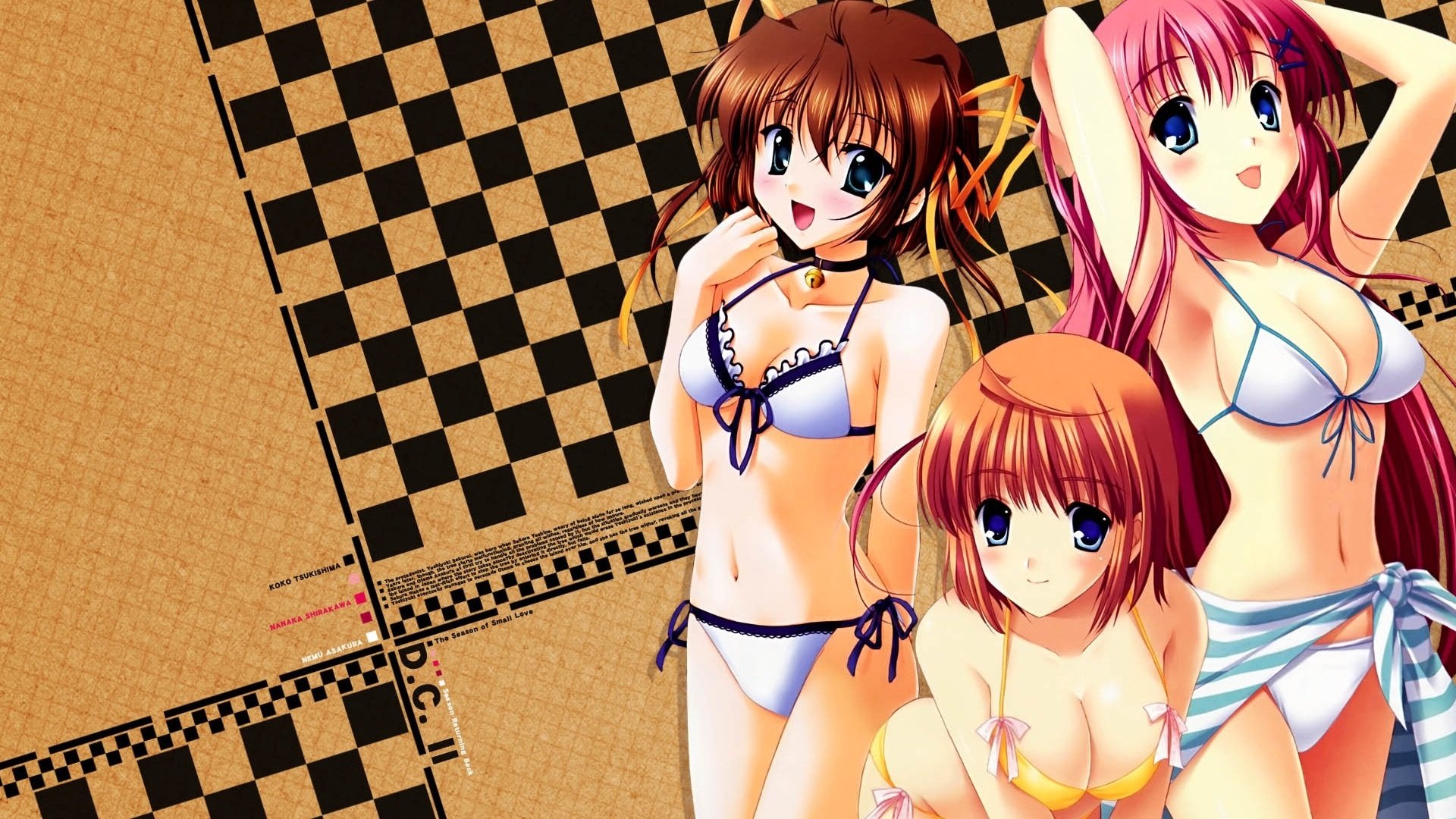 动漫,动漫少女,插画,比基尼,巨乳,初音岛