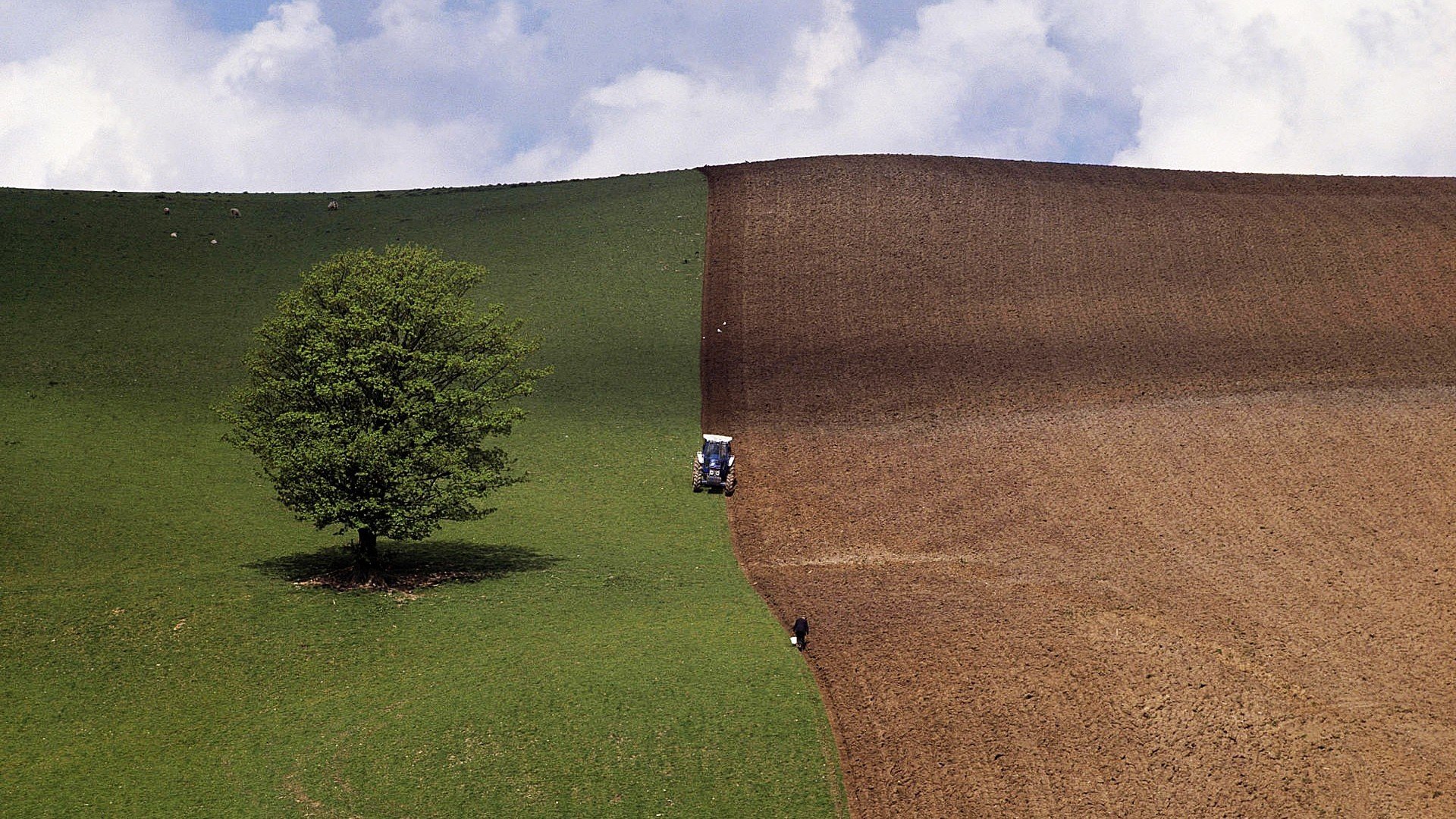 小清新,清新淡雅,田野,1月31日,儿童桌面专用