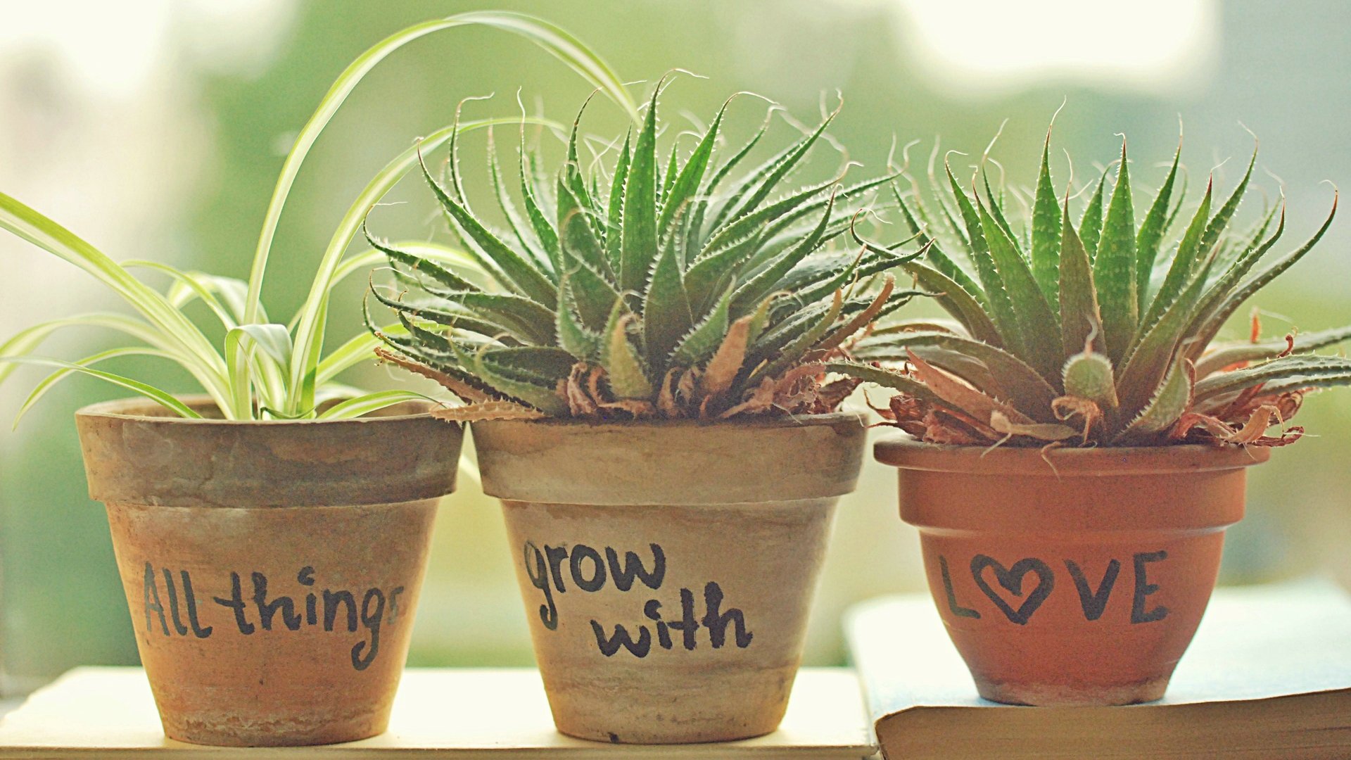 爱情美图,唯美温馨,一直爱你