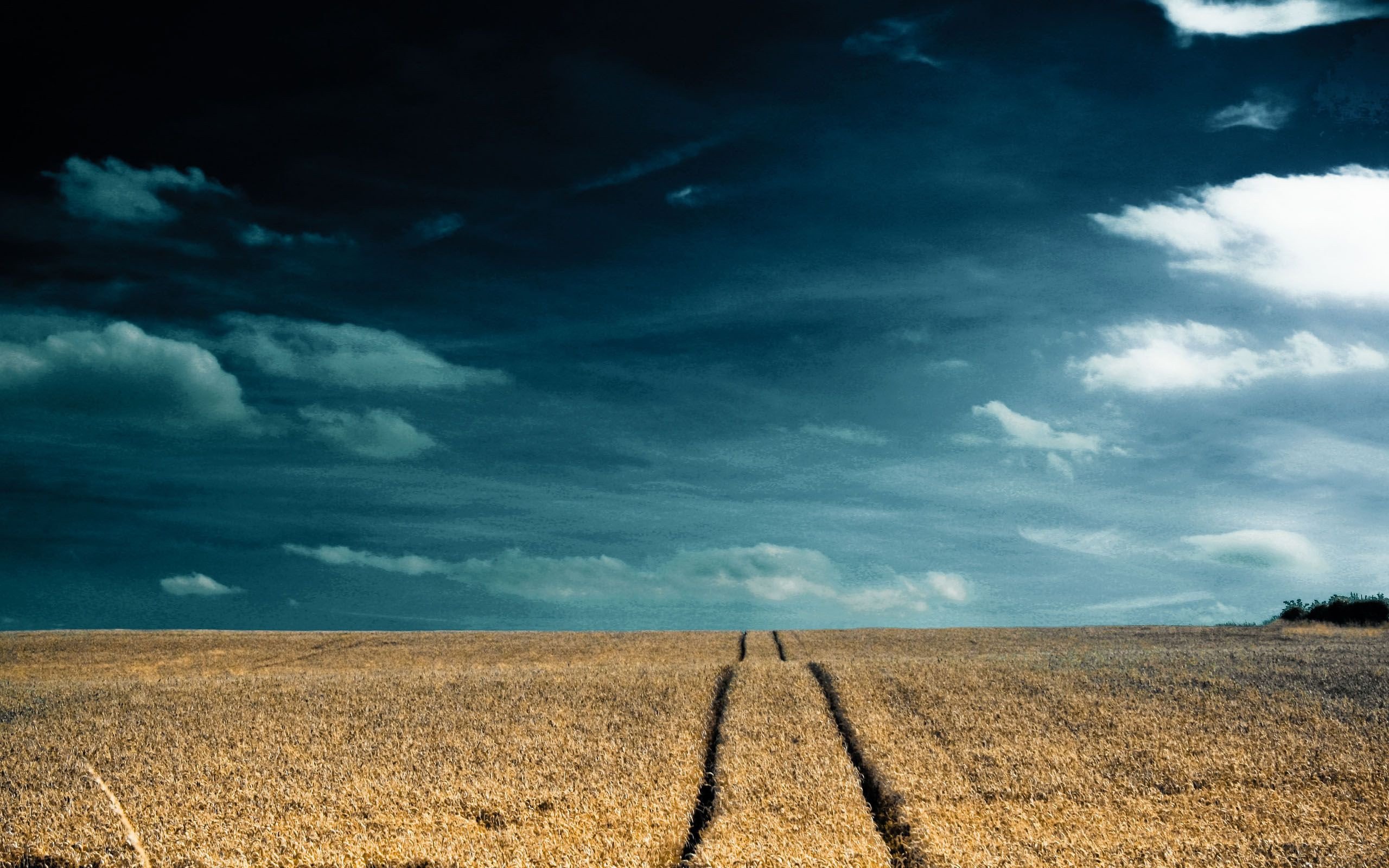 小清新,清新淡雅,1月31日,儿童桌面专用