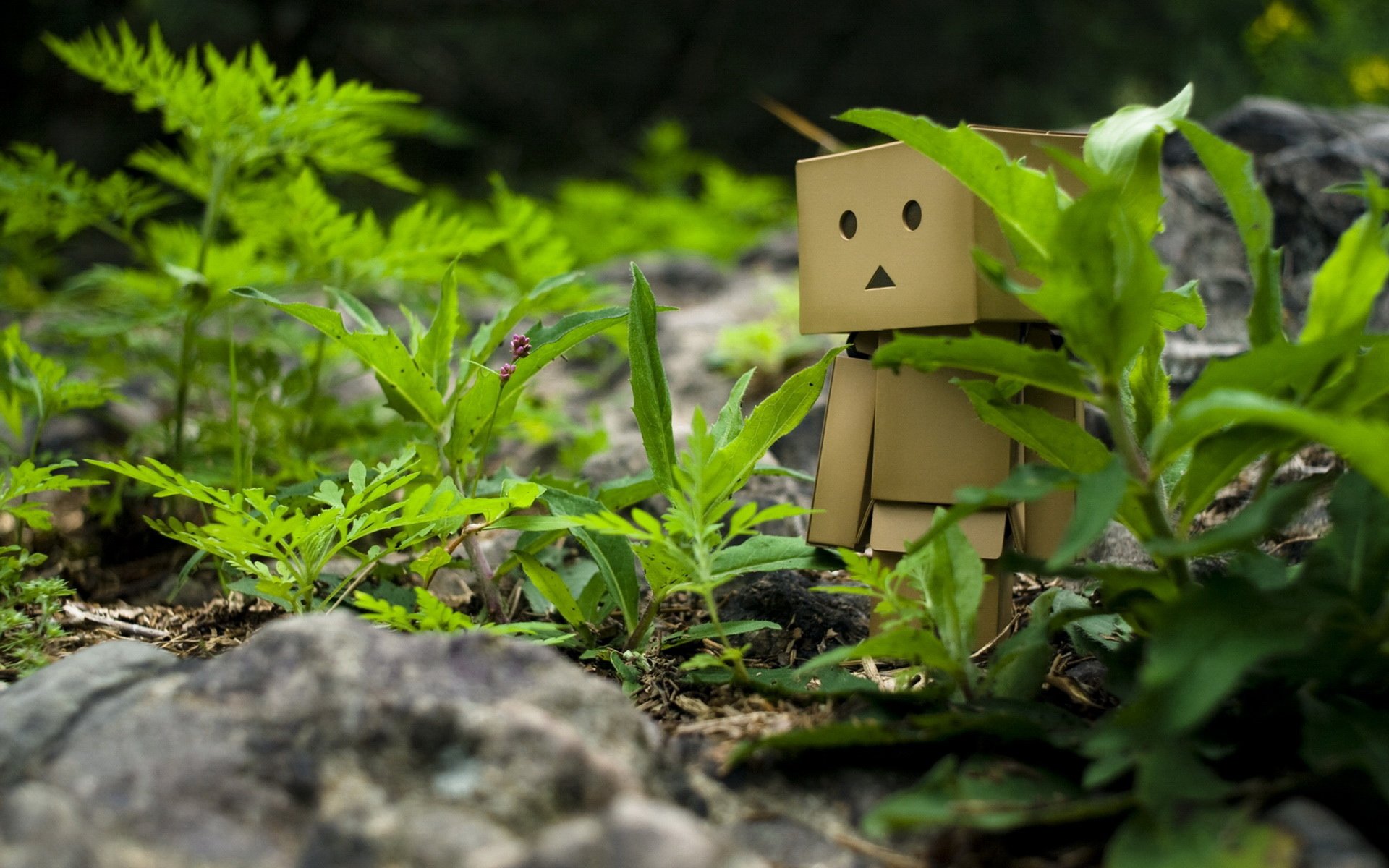 小清新,温馨一刻,纸箱人,2月21日,儿童桌面专用