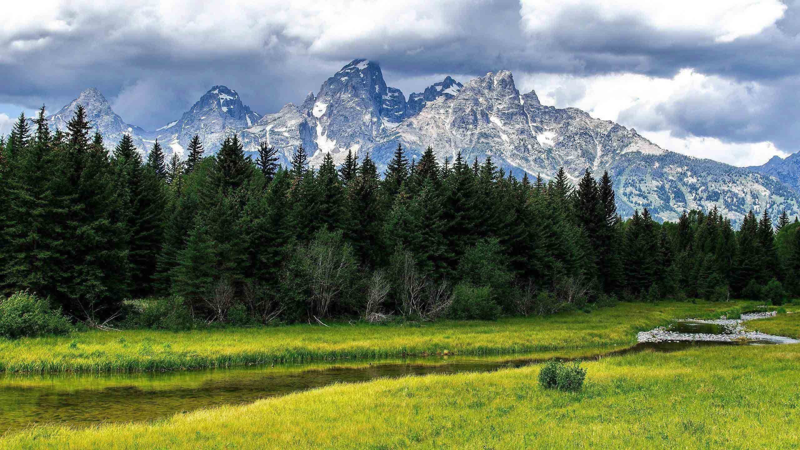 绿色,明媚,美景,旅游,自然,儿童桌面专用