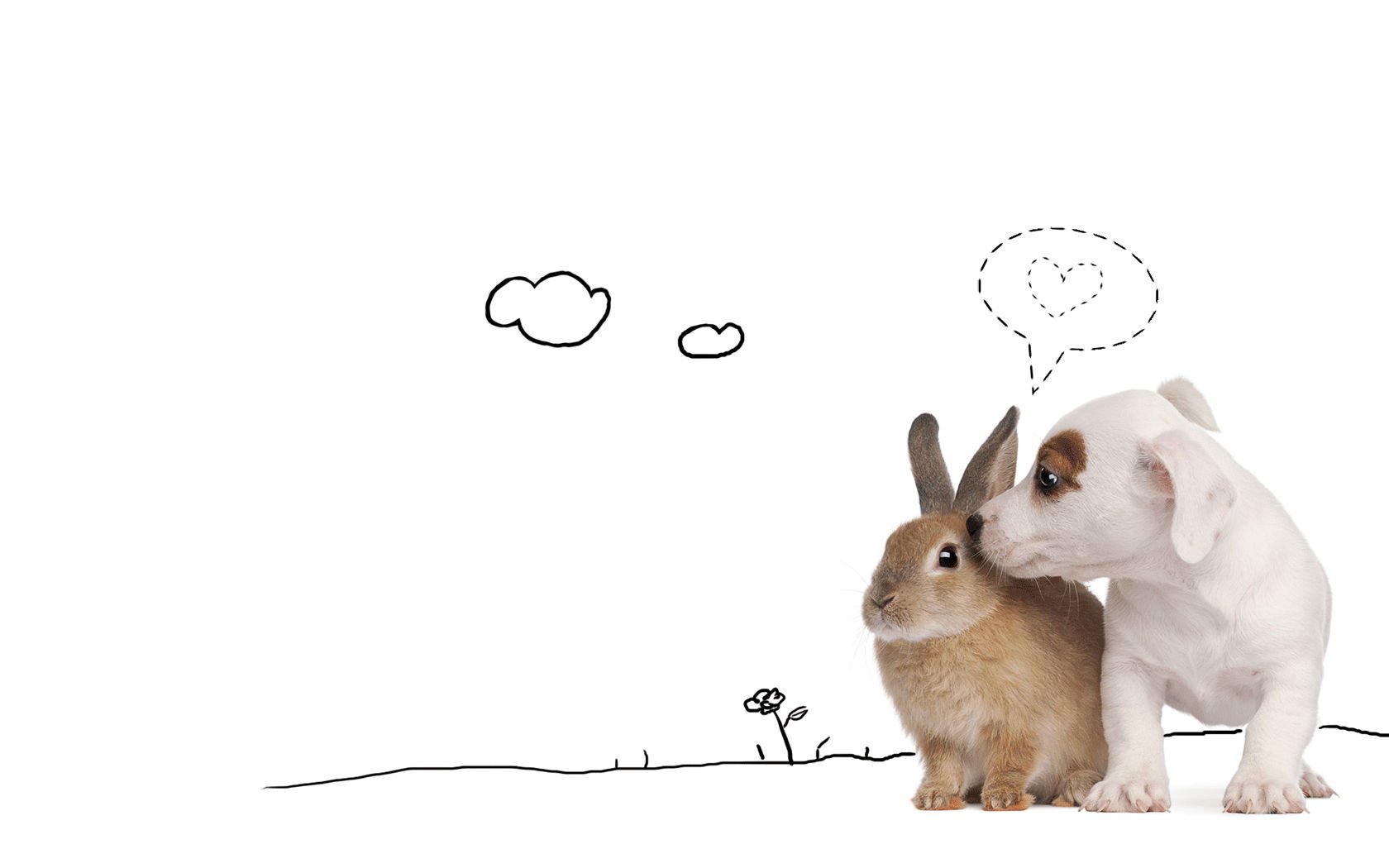 萌宠,汪星人,兔子,狗,儿童桌面专用