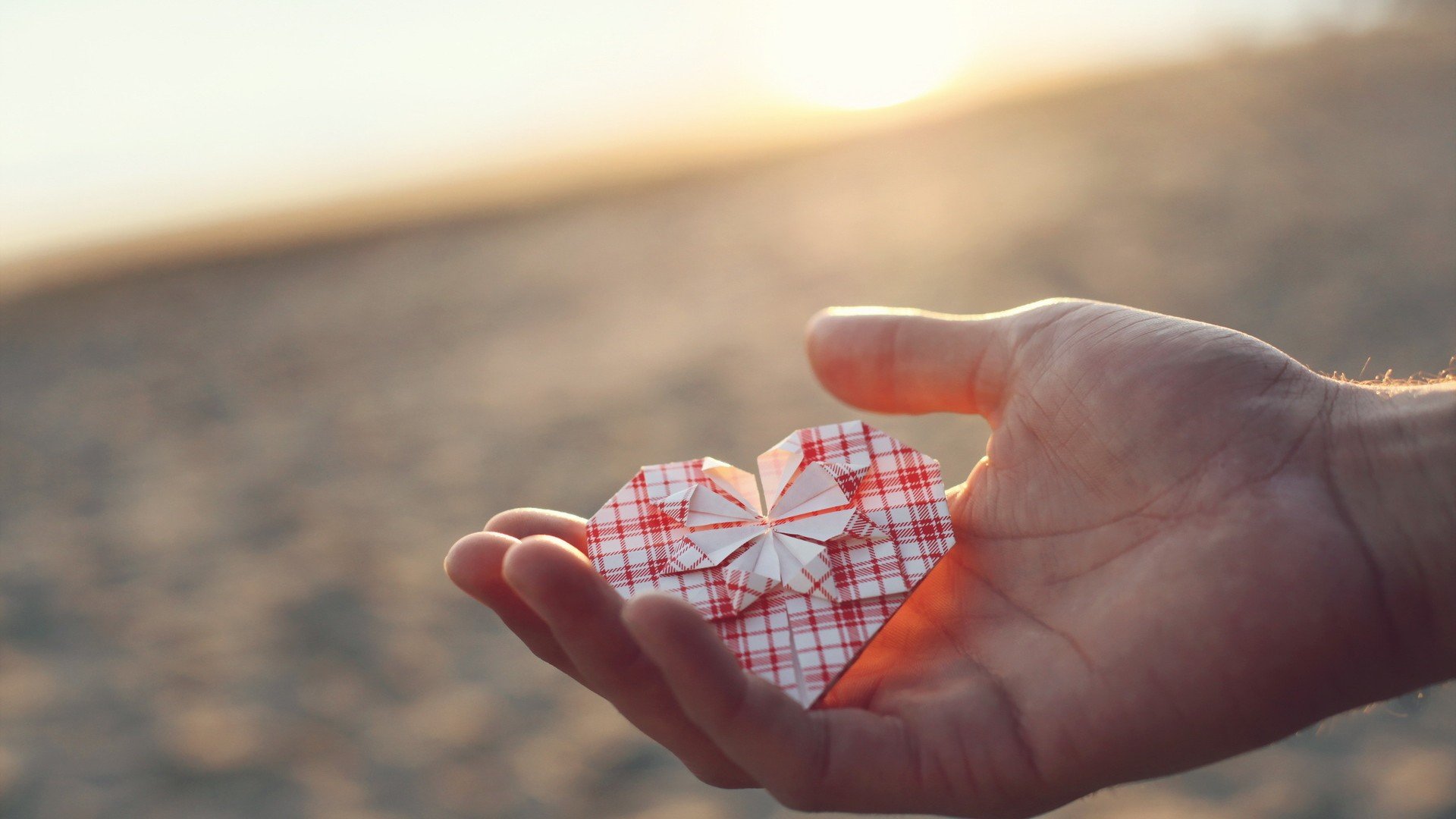 爱情美图,唯美温馨,捧在手心里的爱