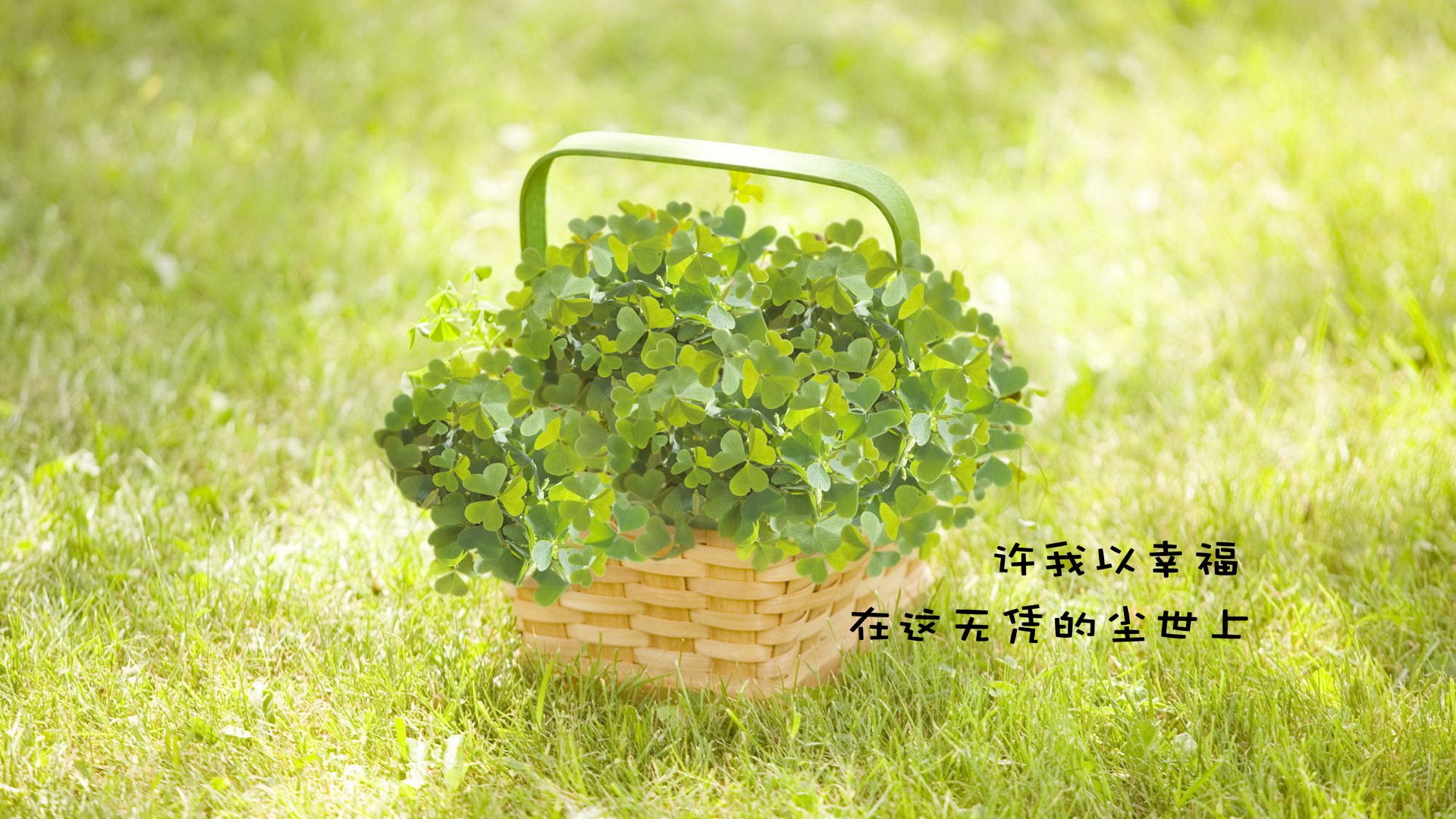 爱情美图,爱情箴言,幸运草的幸福