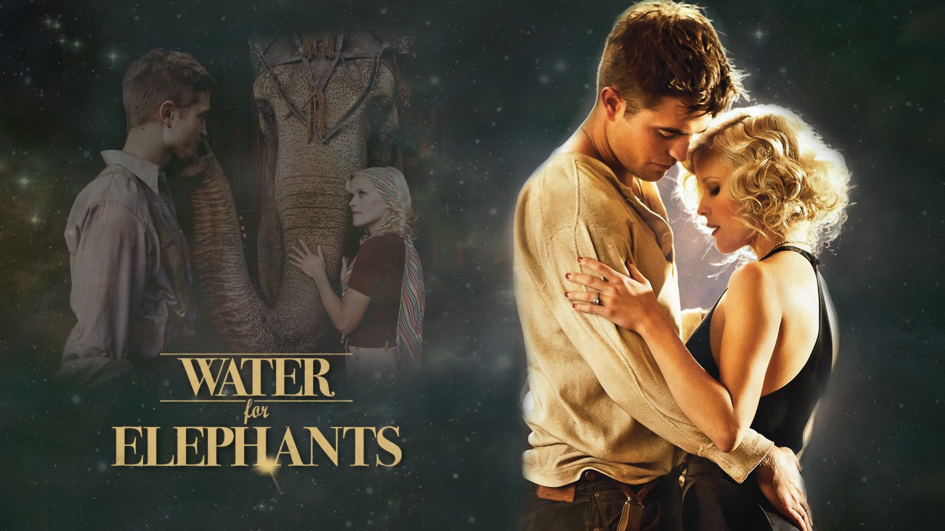 影视,大象的眼泪,2月5日