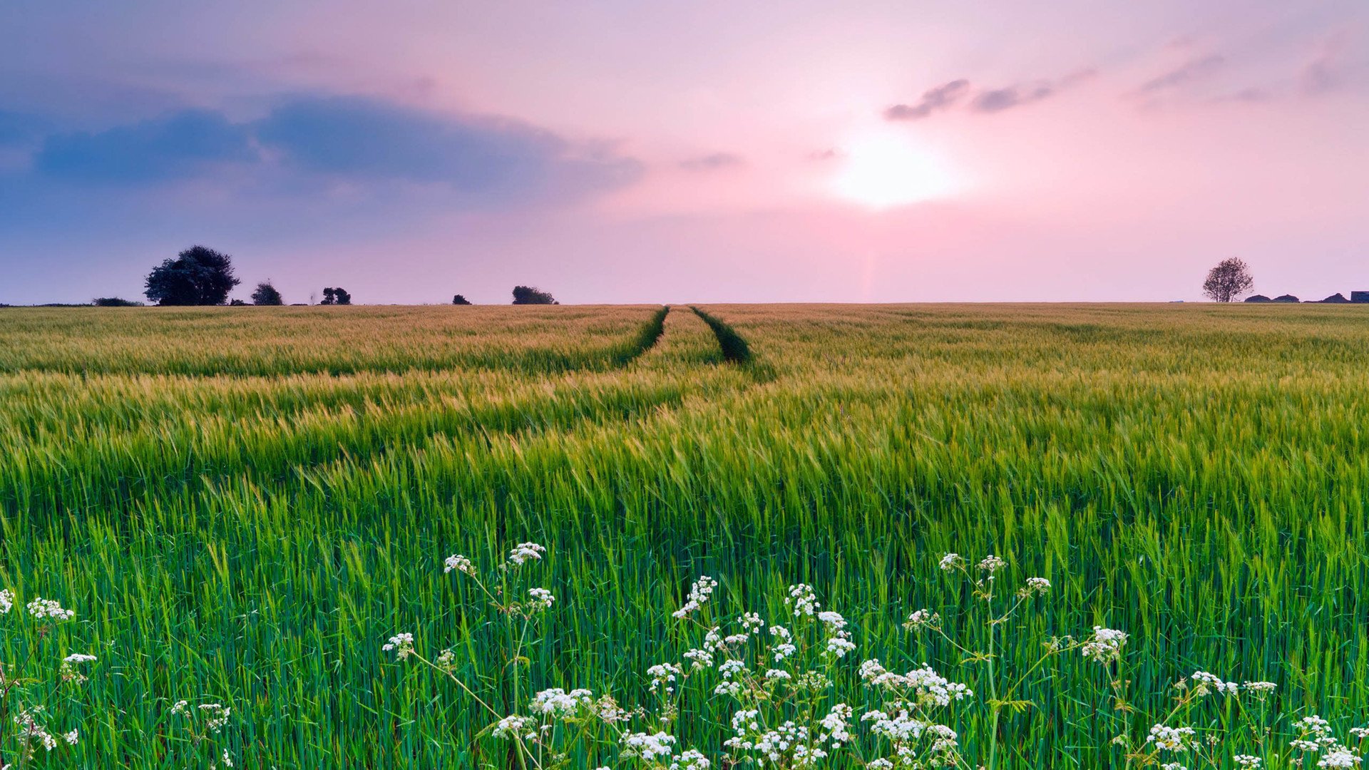 清新美景,风景,风光,美景,旅游,自然,儿童桌面专用