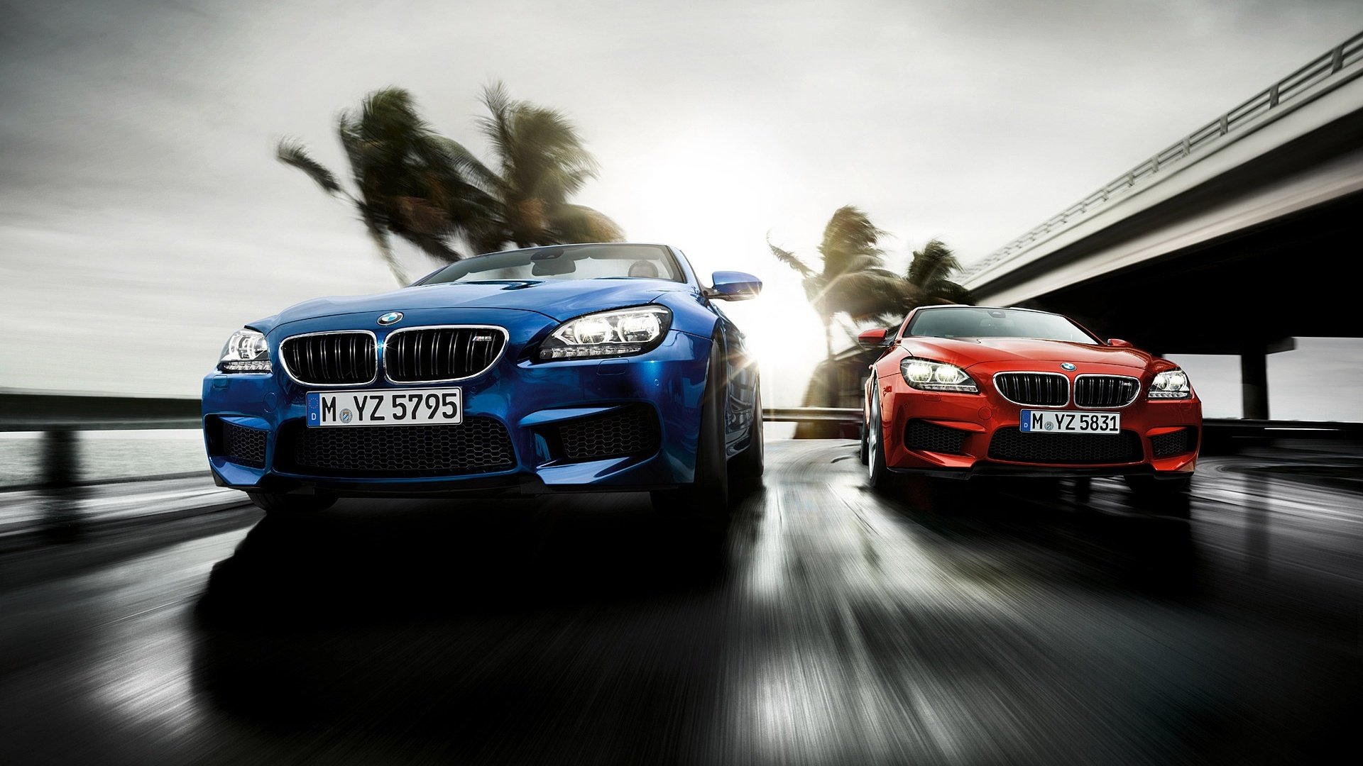 汽车,超跑,宝马,M6,M系列,儿童桌面专用