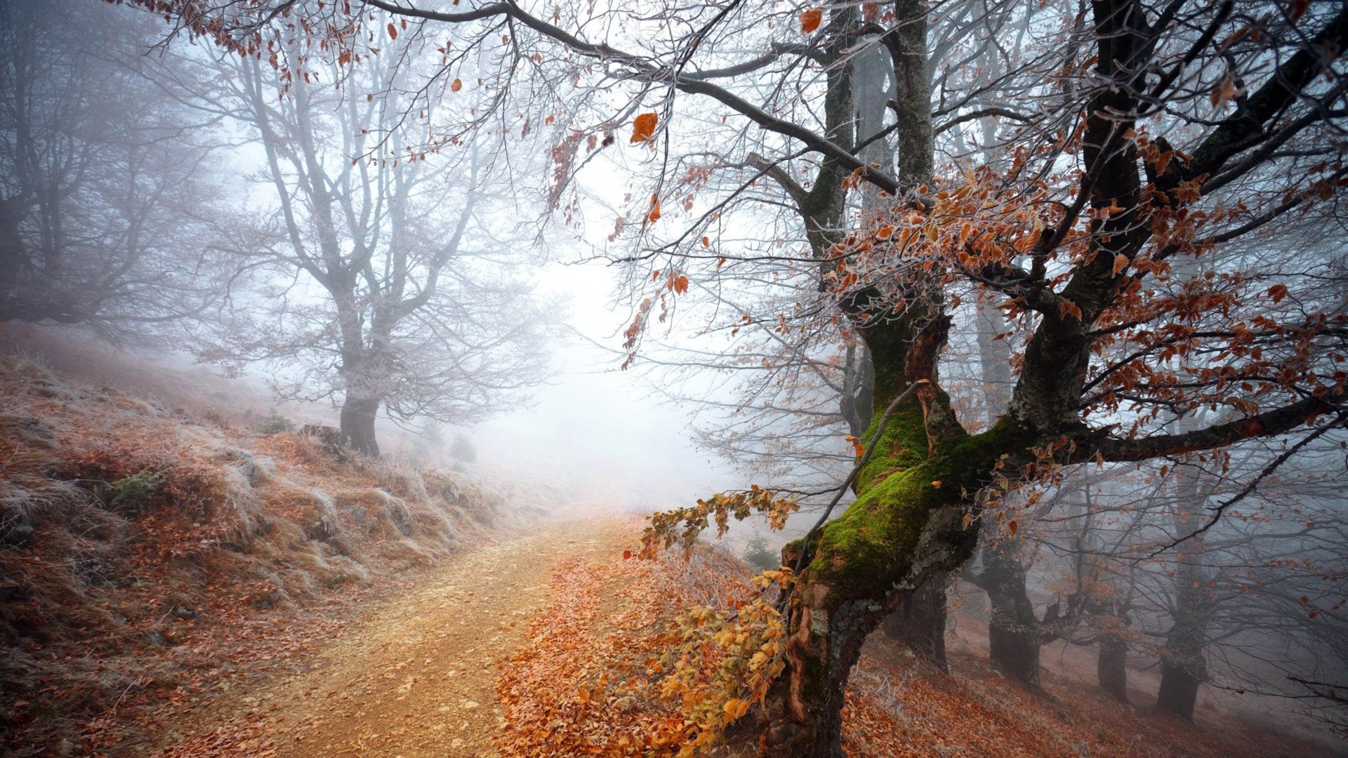 清新美景,风景,风光,美景,旅游,自然,儿童桌面专用