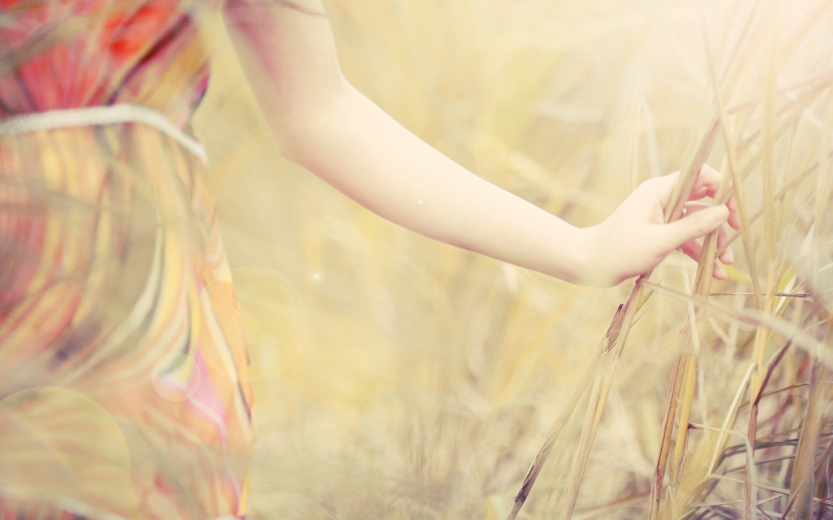 小清新,温馨一刻,2月4日,儿童桌面专用