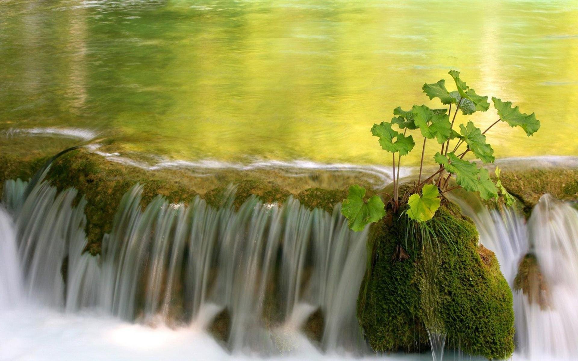 小清新,护眼壁纸,绿色,2月20日,儿童桌面专用