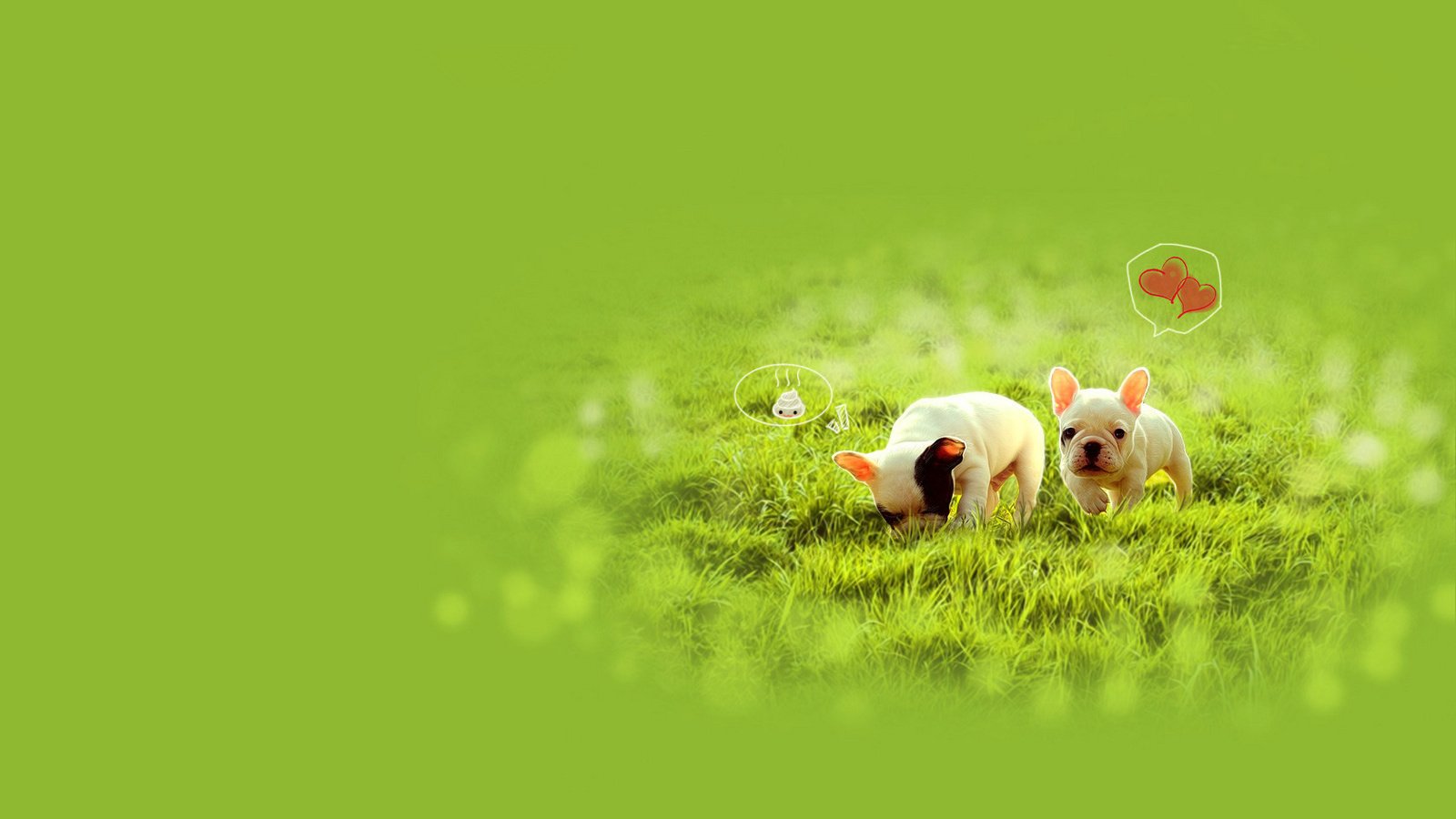 爱情美图,唯美温馨