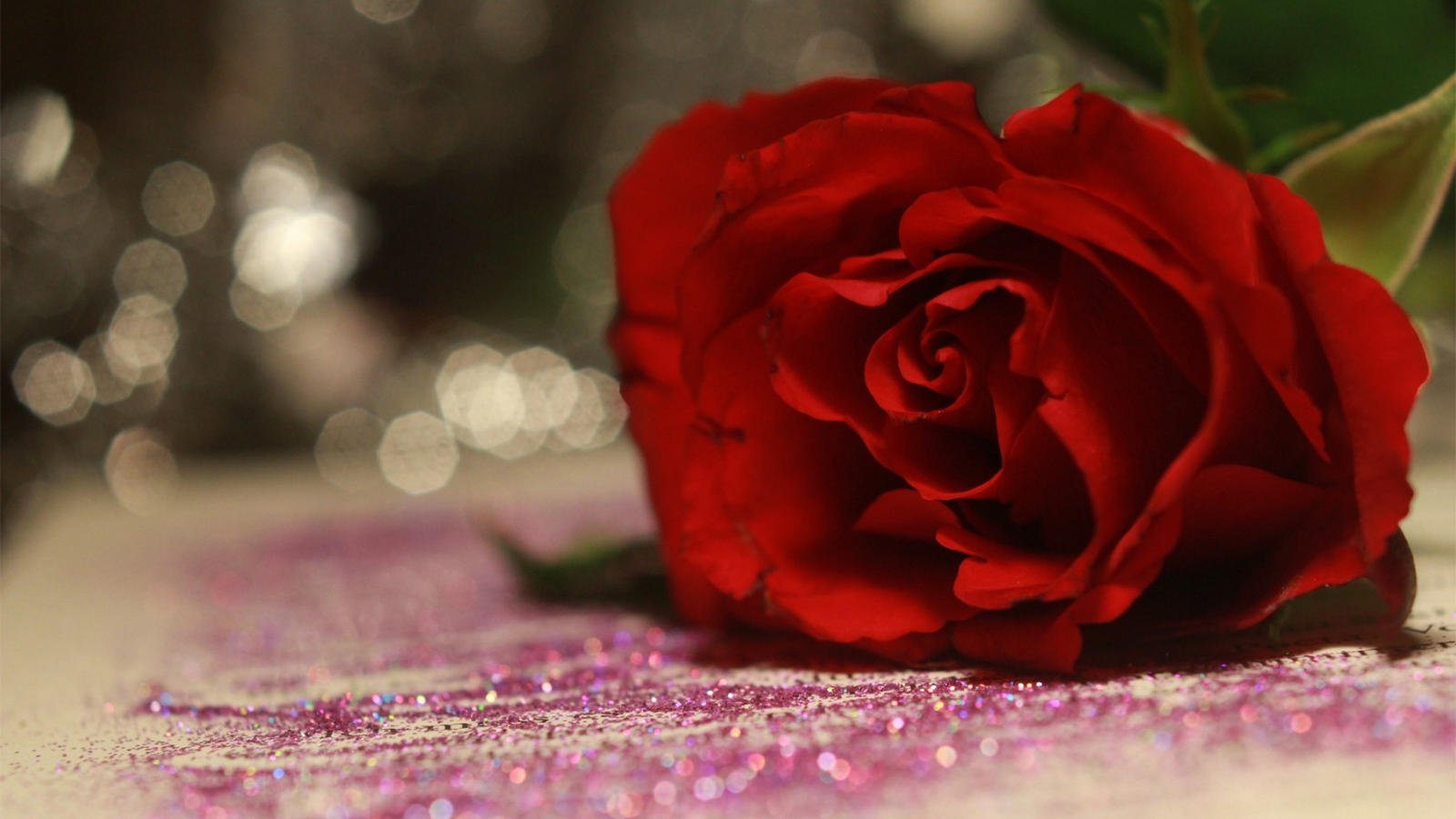 爱情美图,唯美温馨,玫瑰,浪漫