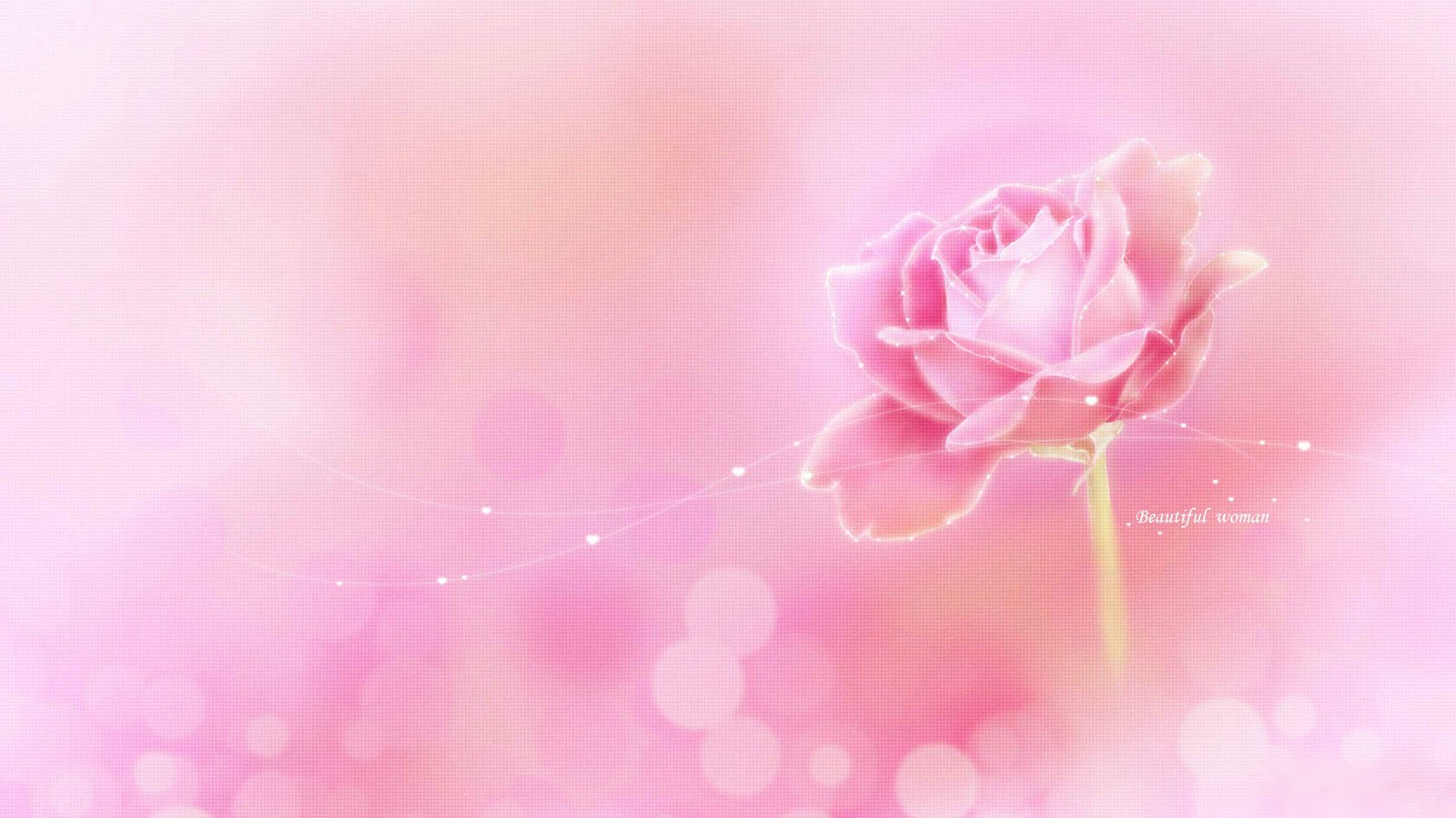 爱情美图,浪漫手绘,玫瑰