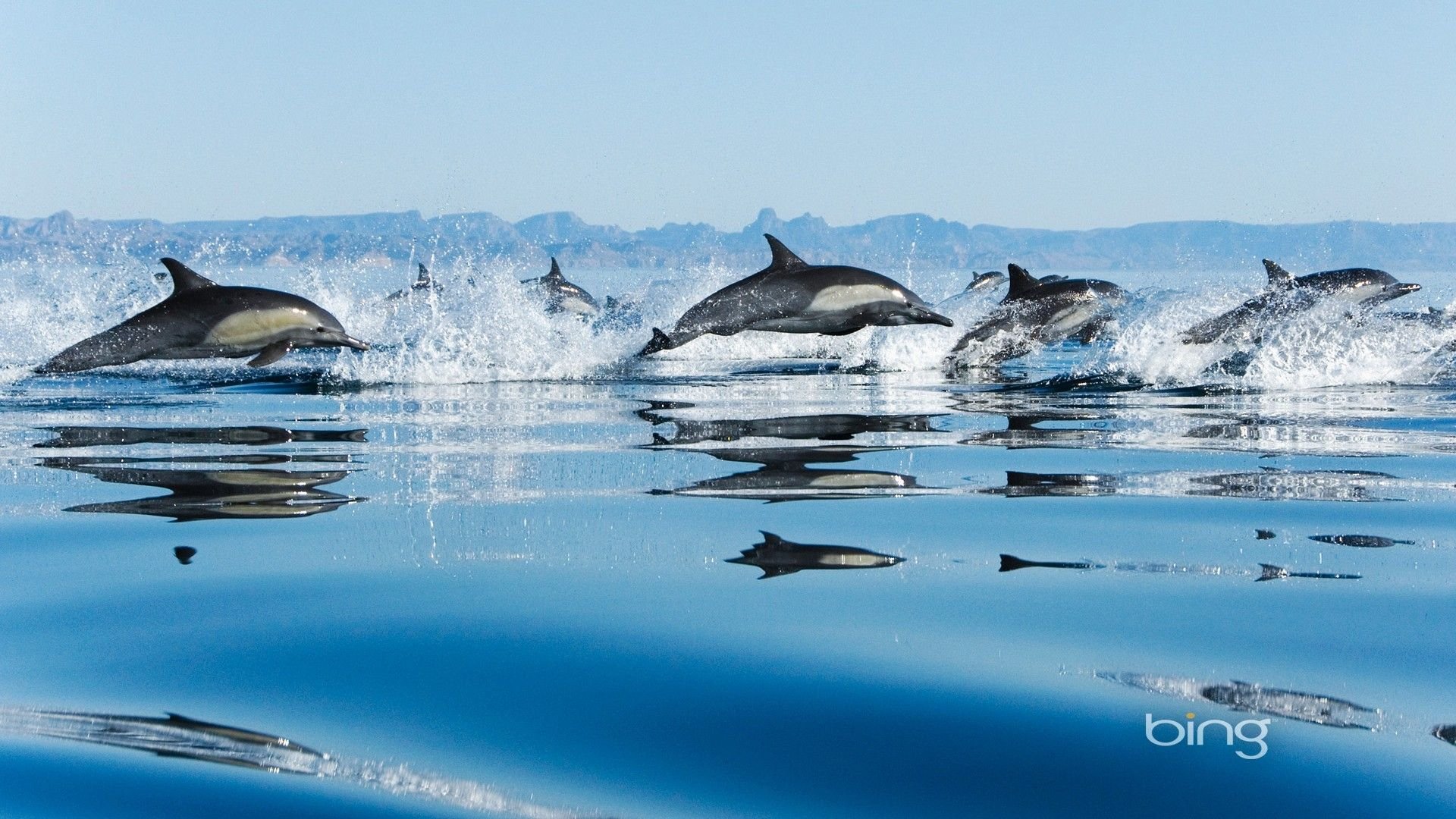 美景,风景,风光,旅游,自然,儿童桌面专用
