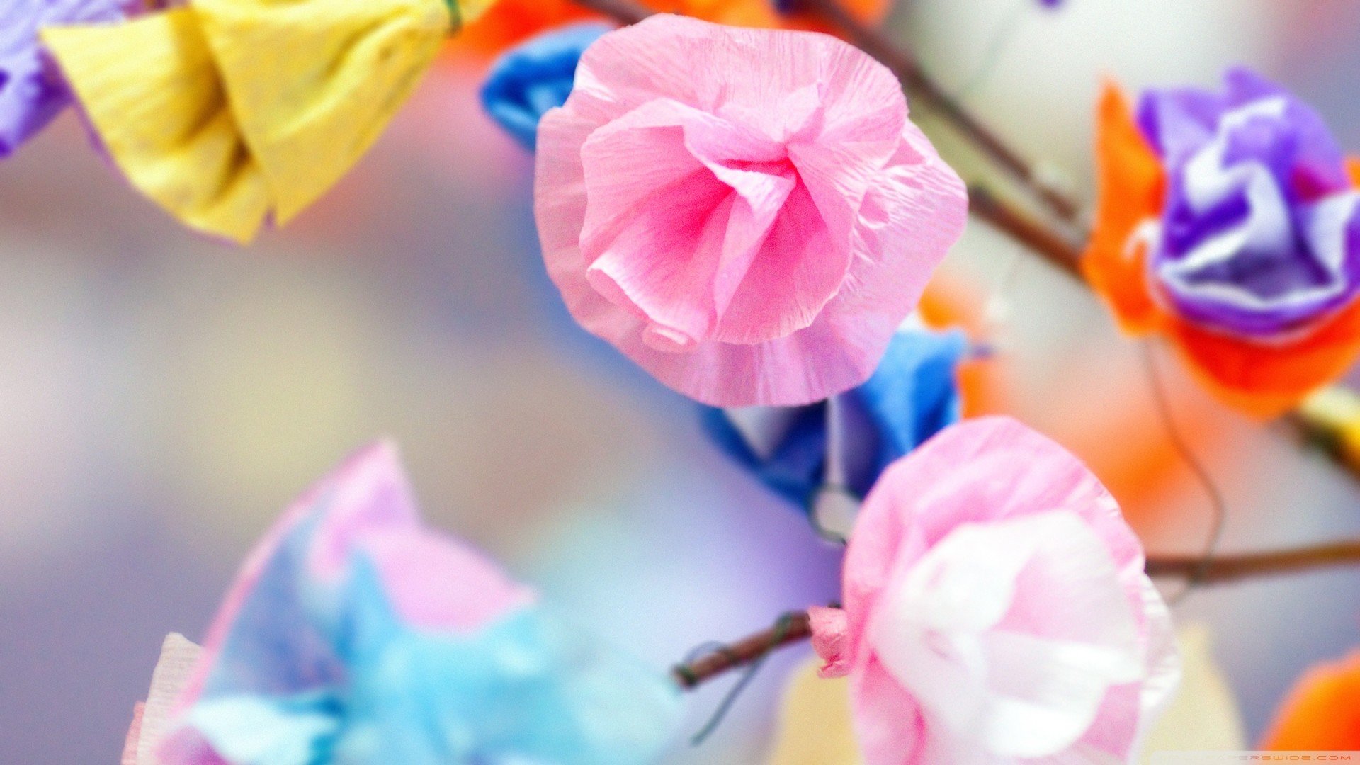 风景,春意盎然,儿童桌面专用