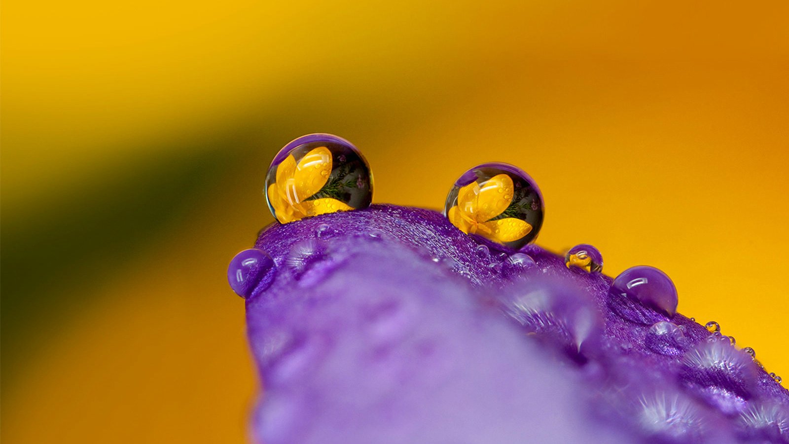 小清新,温馨一刻,儿童桌面专用