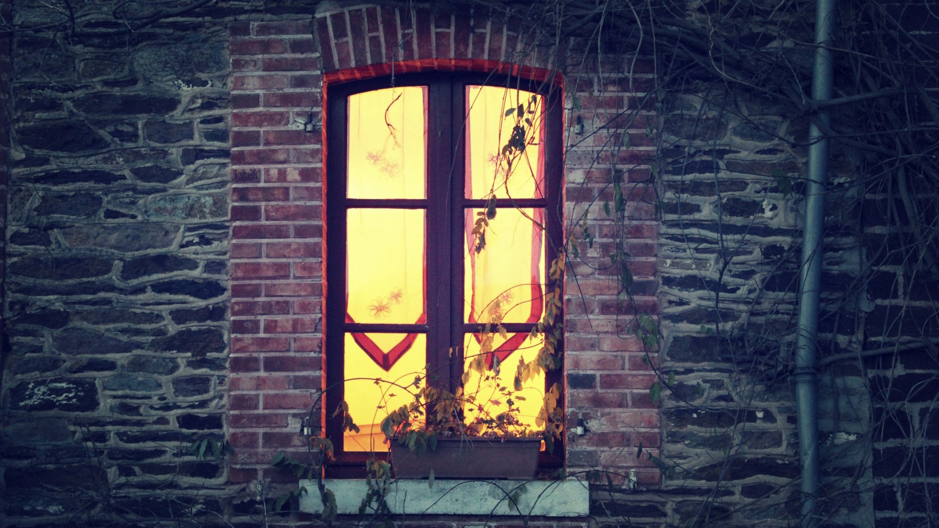 小清新,温馨一刻,窗户,灯光,3月6日,儿童桌面专用