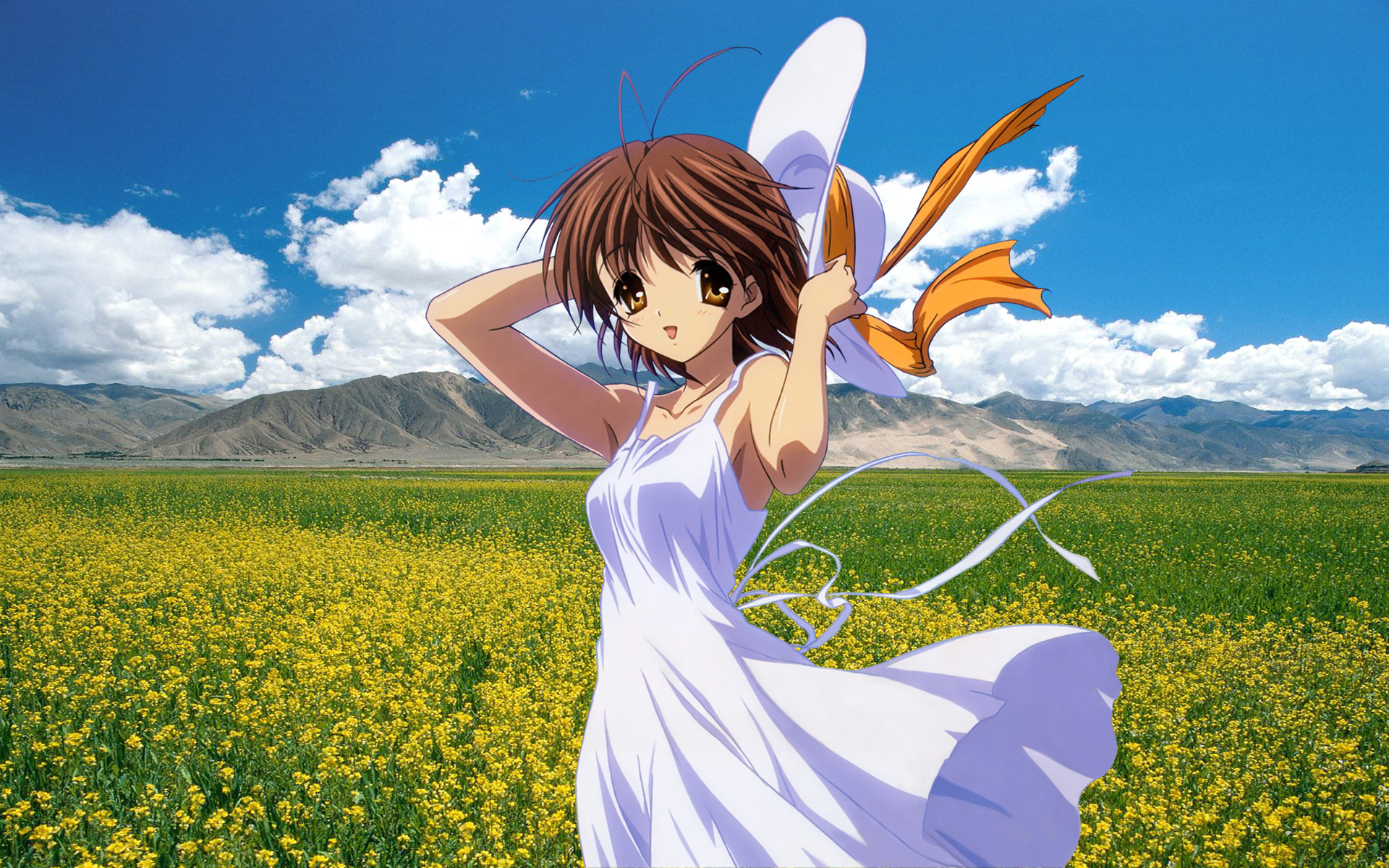 动漫,萝莉,九月十四日,儿童桌面专用