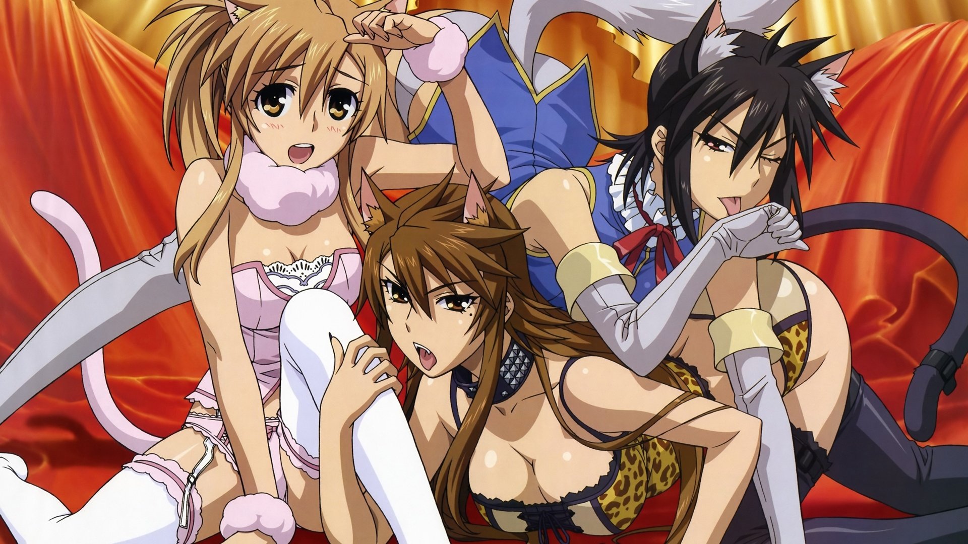 动漫,动漫少女,可爱,猫恋,儿童桌面专用