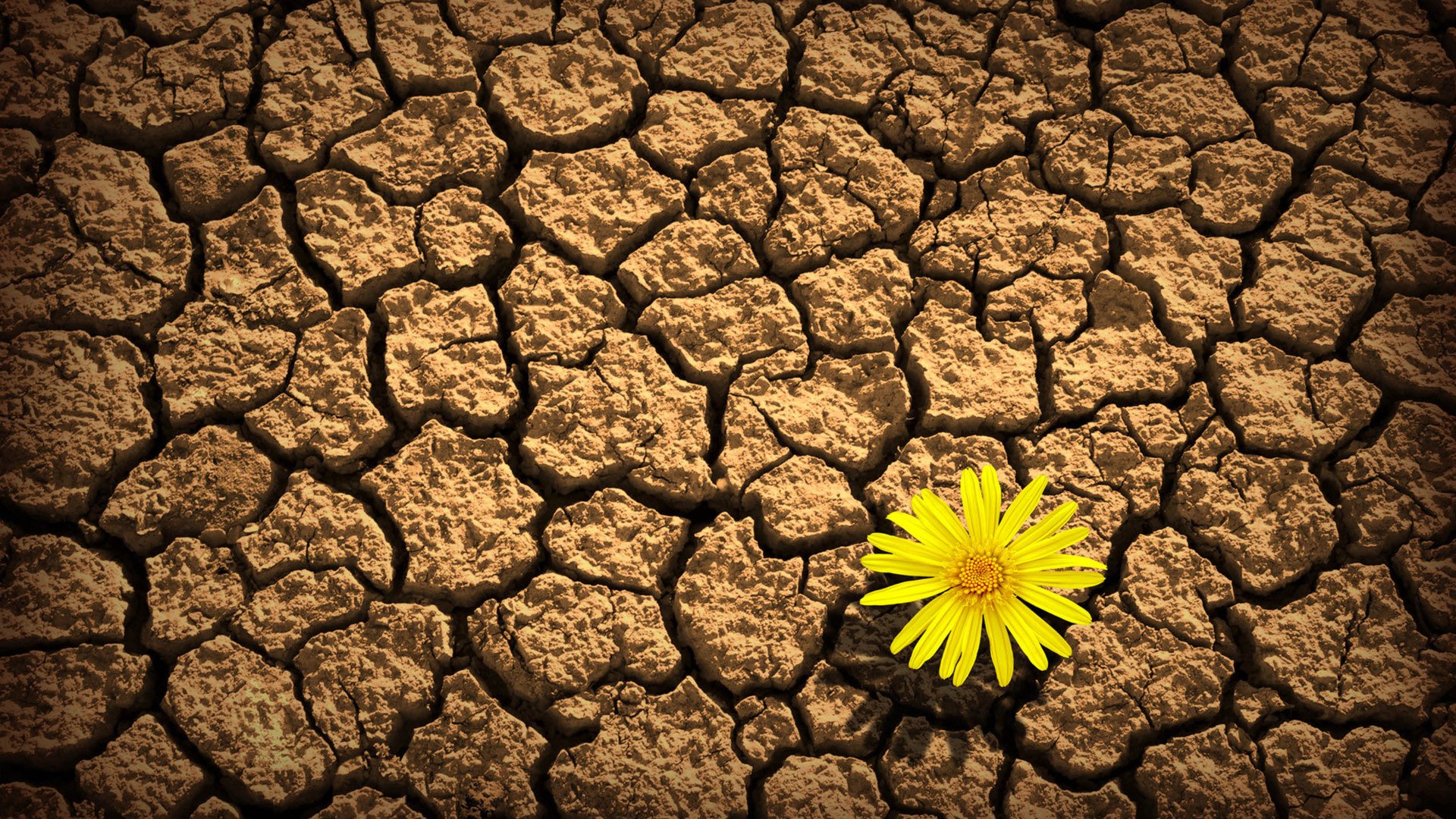 小清新,温馨一刻,儿童桌面专用