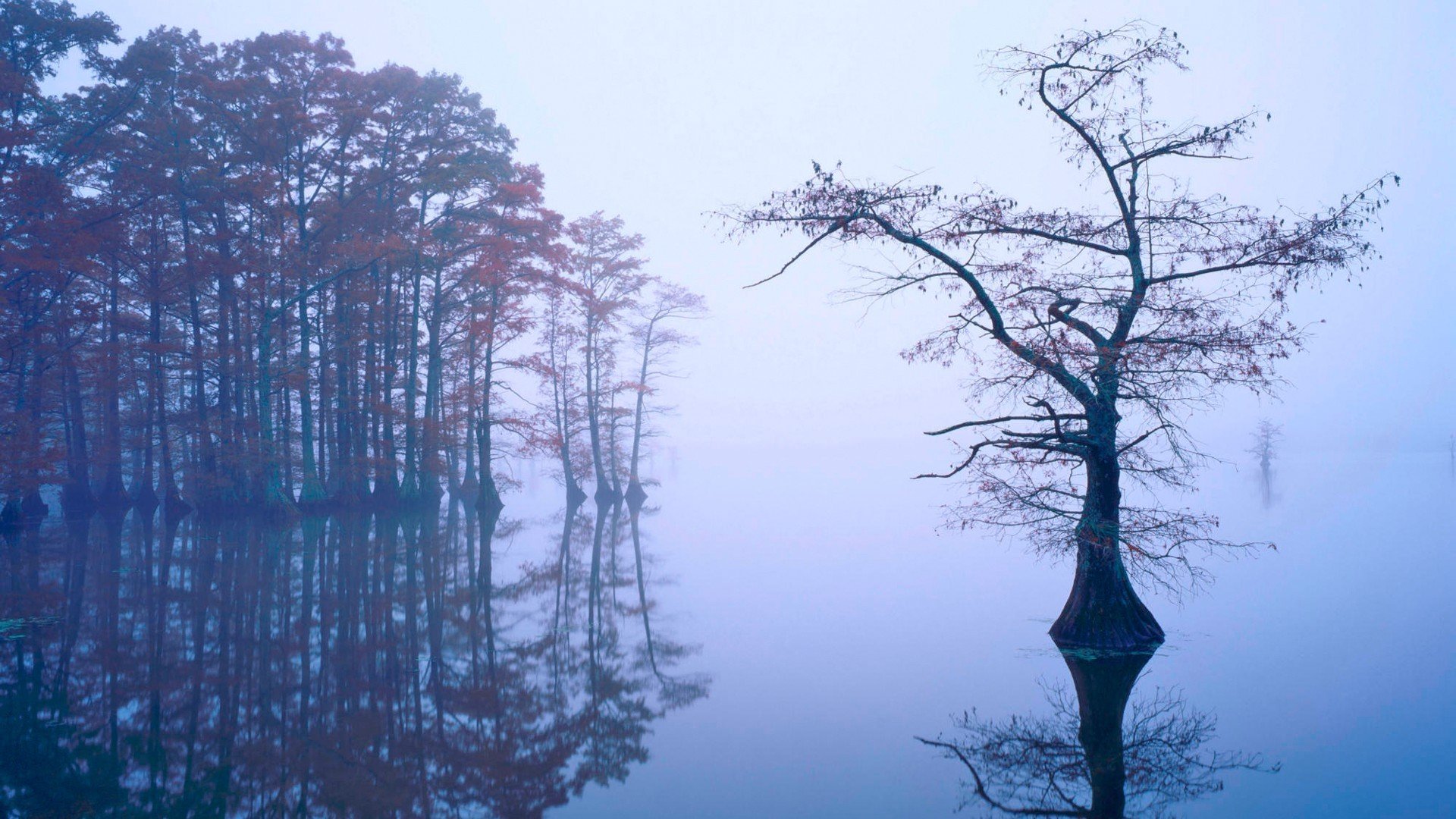 小清新,清新淡雅,3月4日,儿童桌面专用