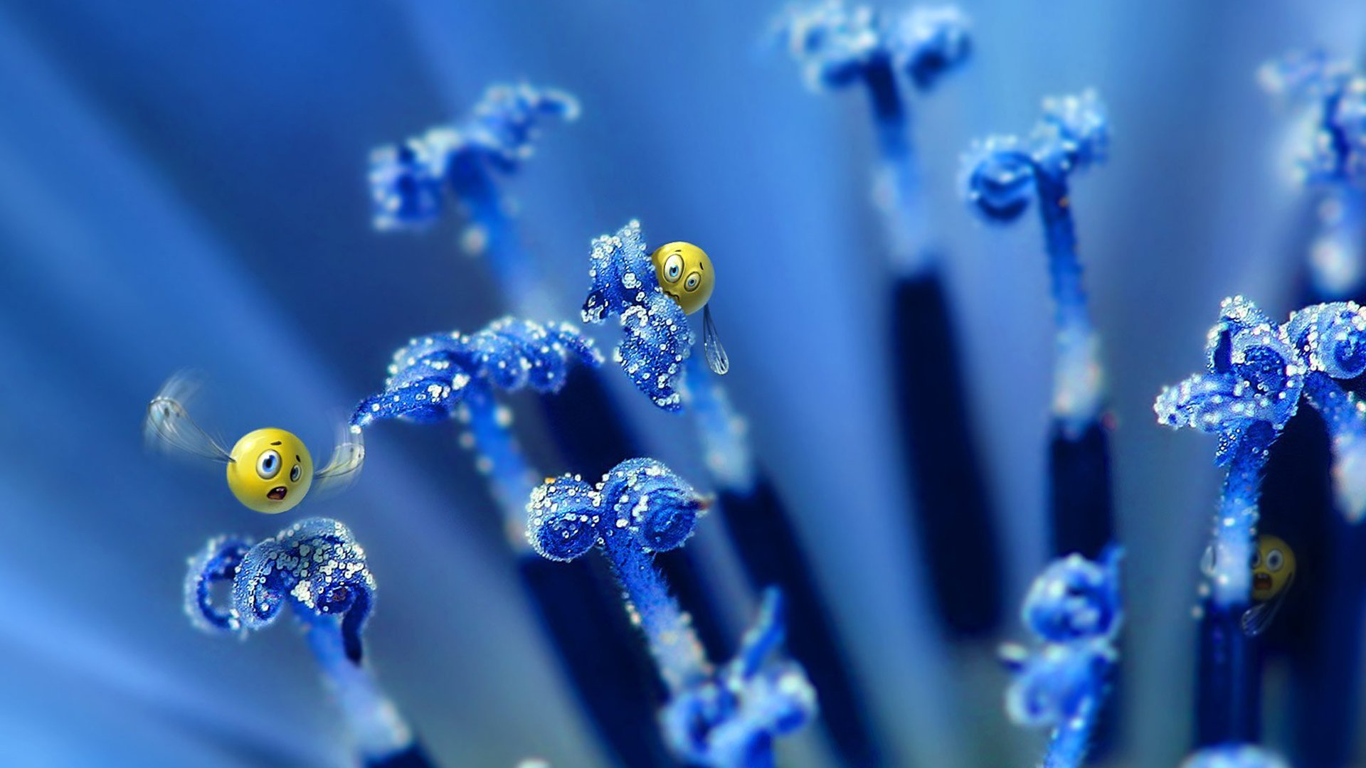 小清新,温馨一刻,儿童桌面专用