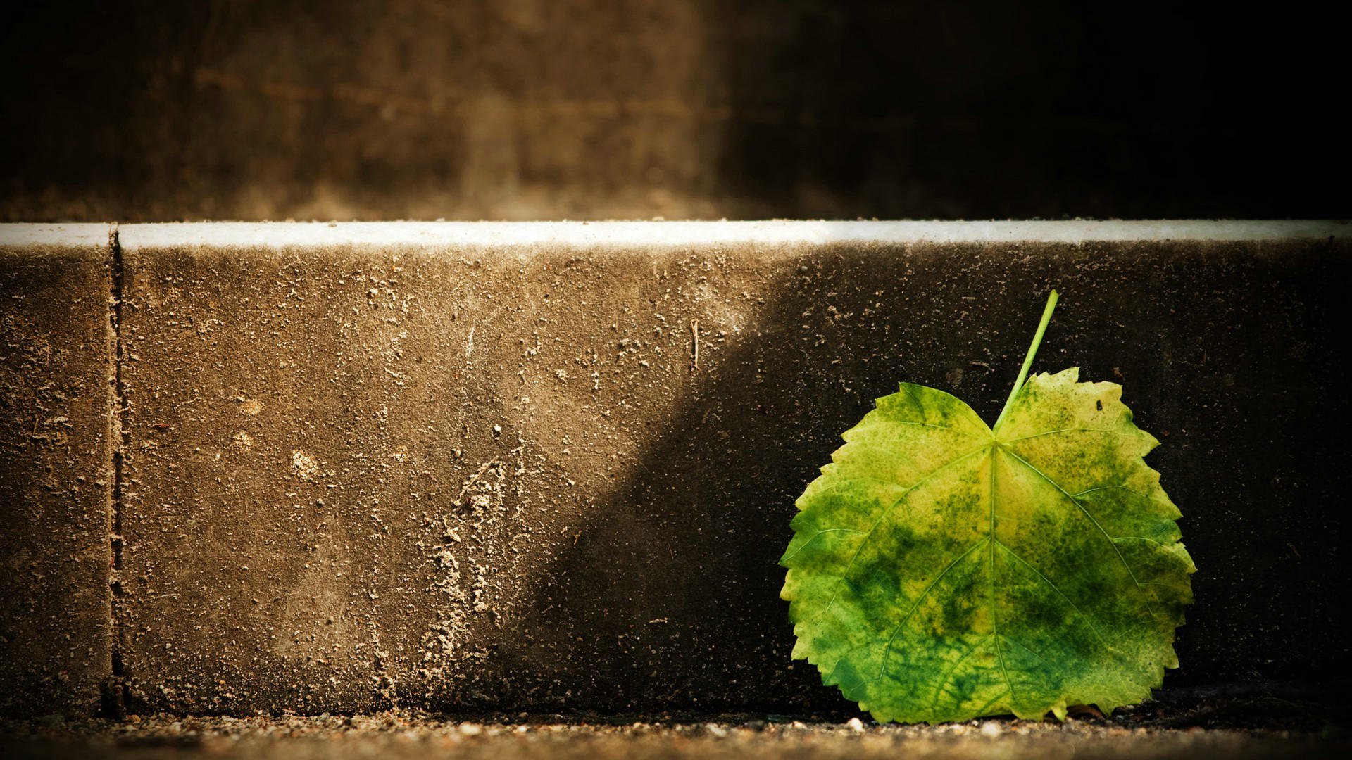 小清新,温馨一刻,儿童桌面专用