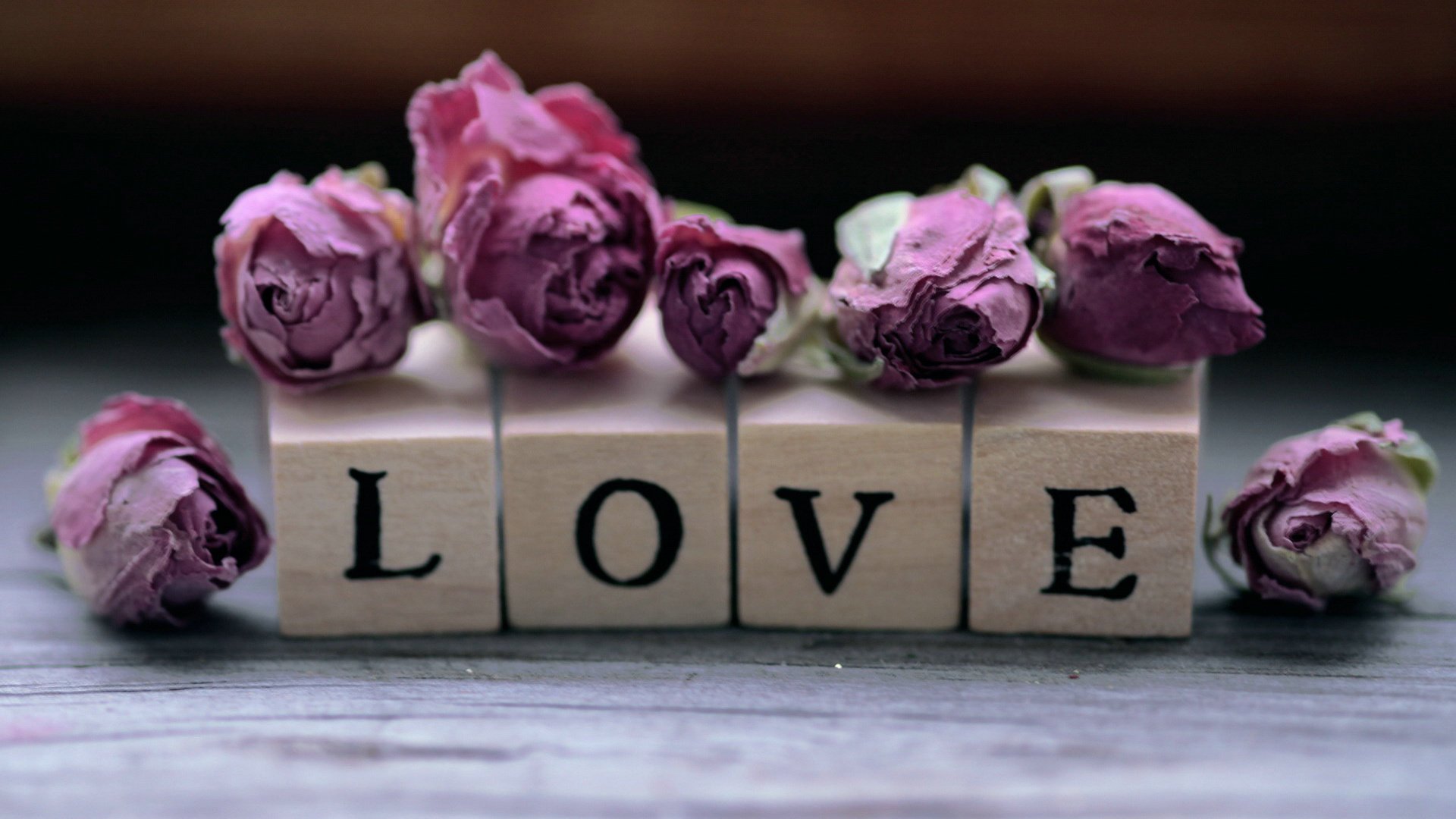 爱情美图,唯美温馨,玫瑰