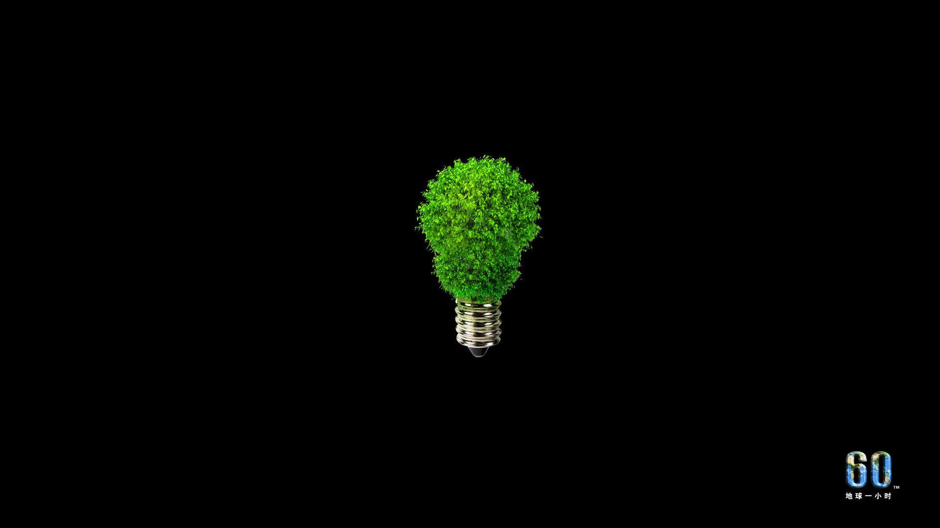 地球一小时,2013,儿童桌面专用