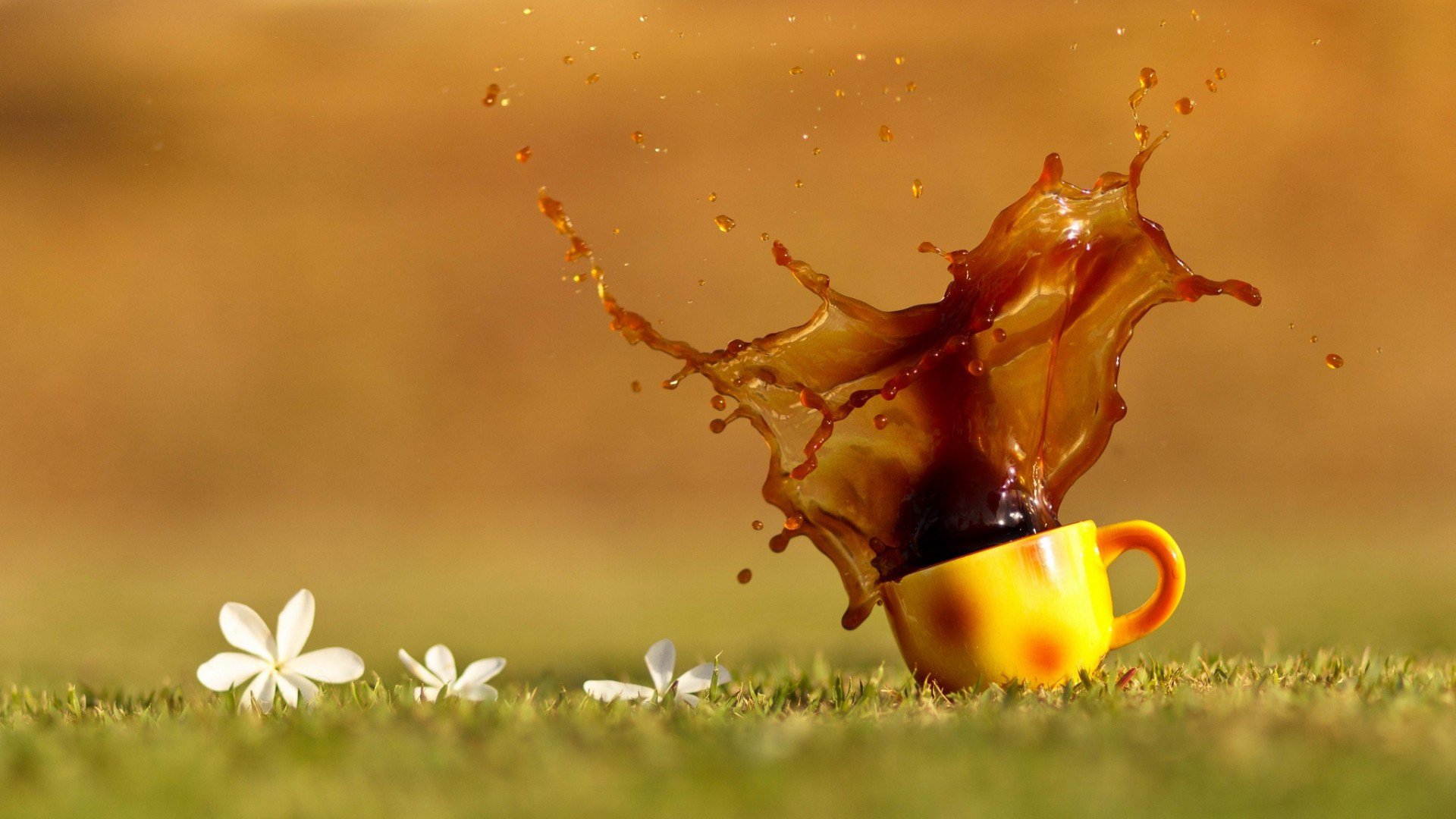 小清新,静物写真,杯子,花,儿童桌面专用