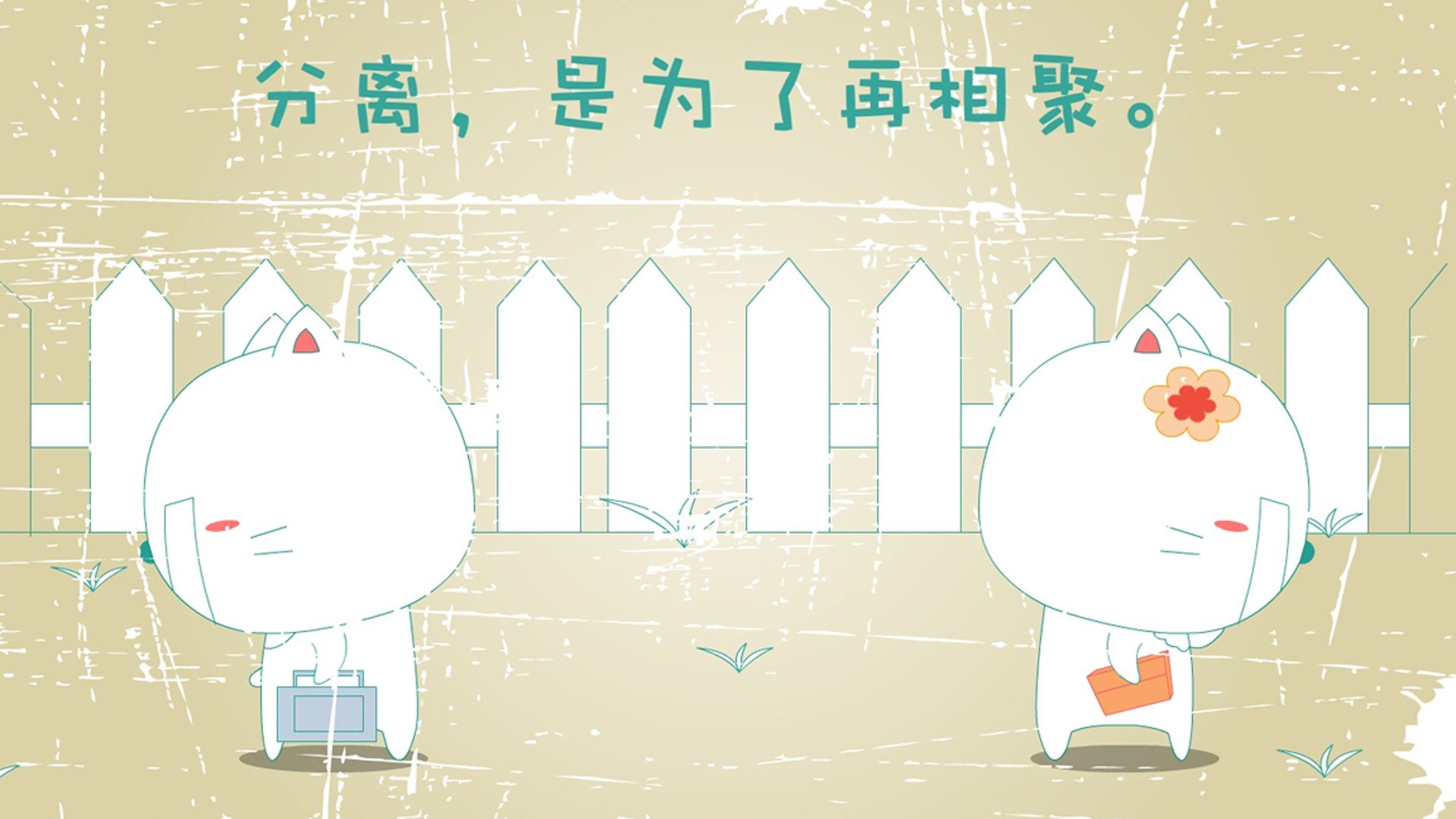 动漫,卡通,插画,手绘,笨笨猫,儿童桌面专用