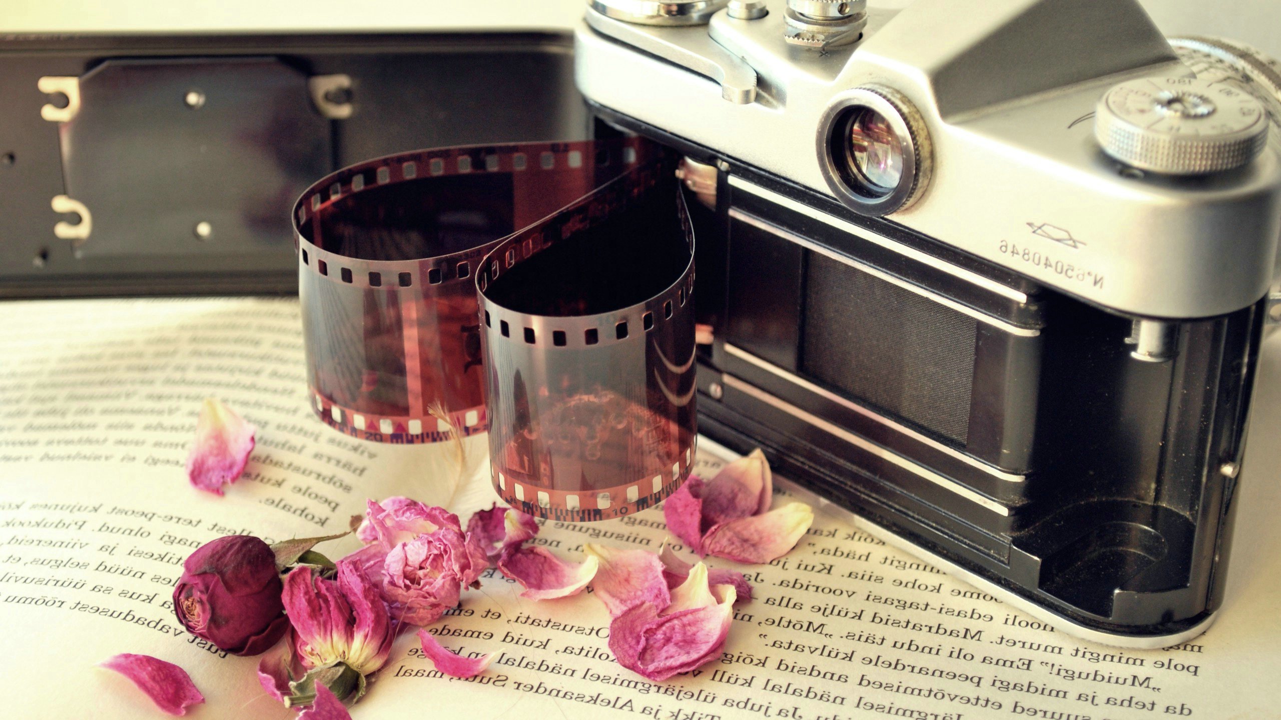 爱情美图,唯美温馨,相机,爱心胶卷,玫瑰