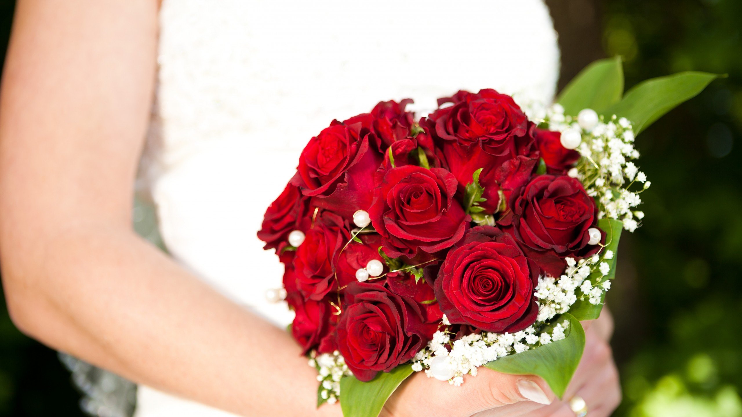 爱情美图,唯美温馨,玫瑰