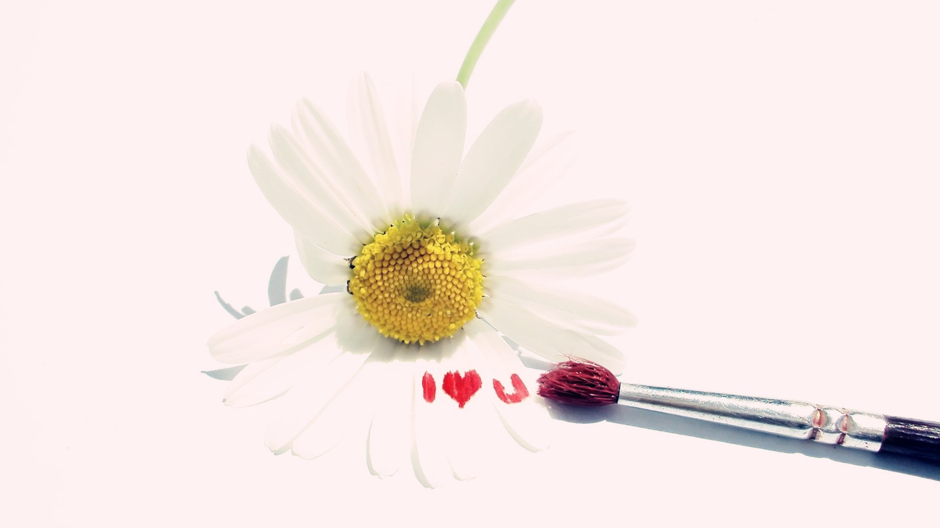 爱情美图,唯美温馨