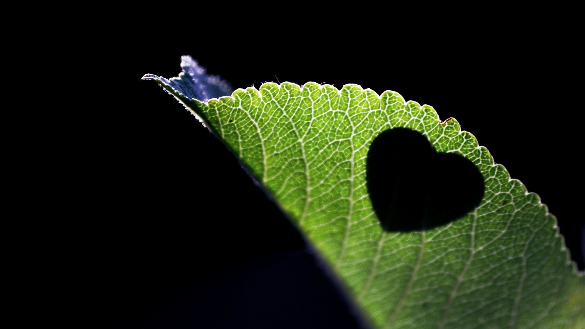爱情,心动创意,心