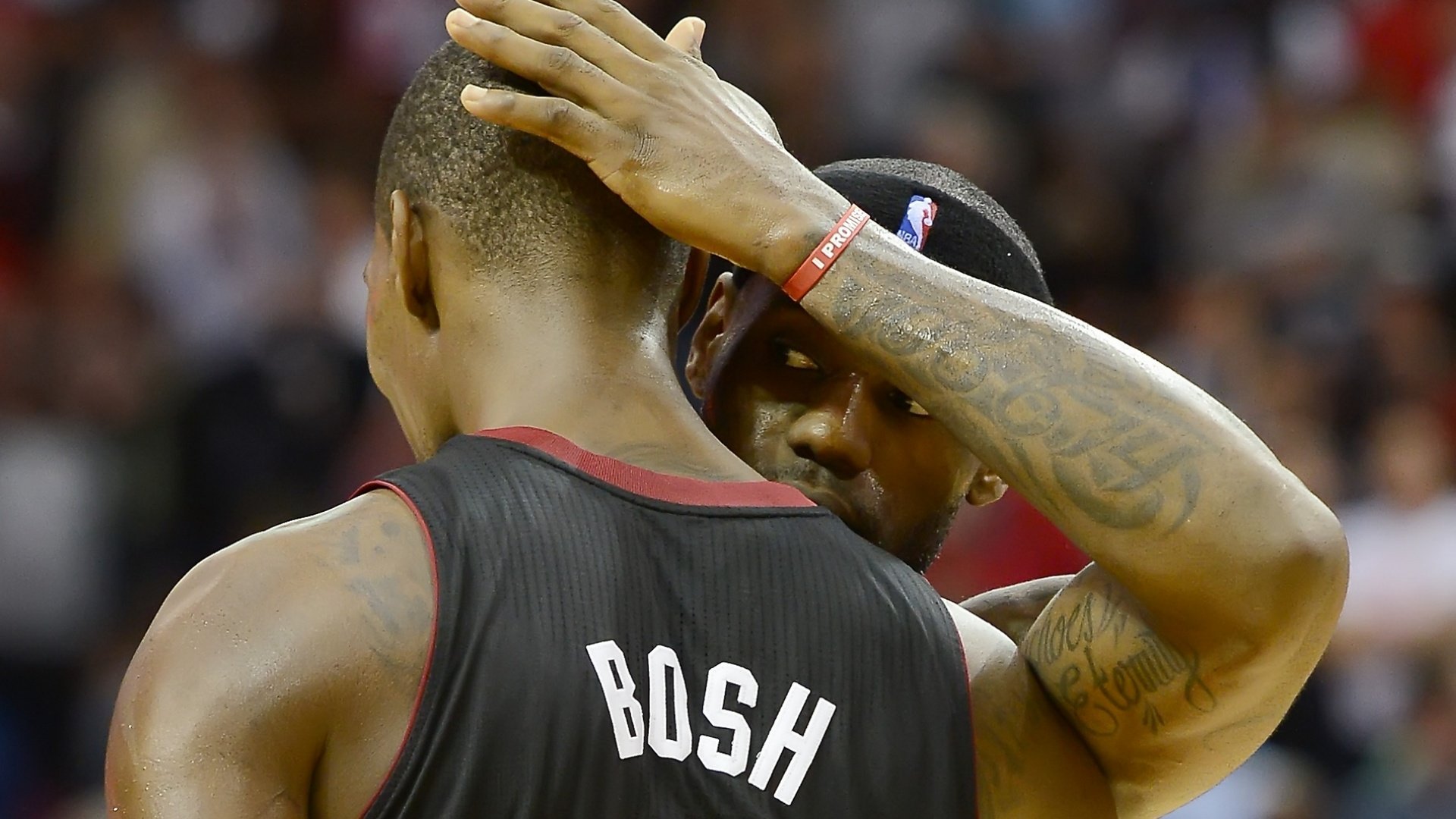 体育,NBA,热火,波什,詹姆斯